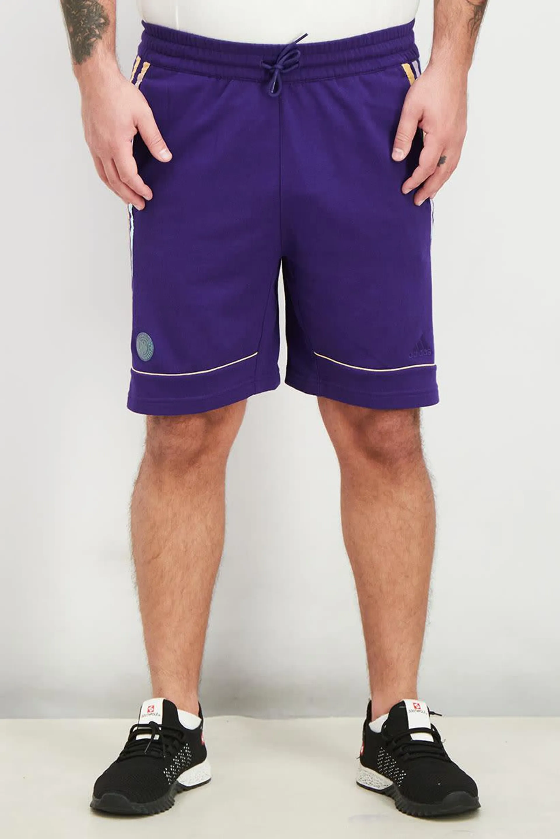 Men Sportswear Fit Striped Training Shorts, Purple Combo