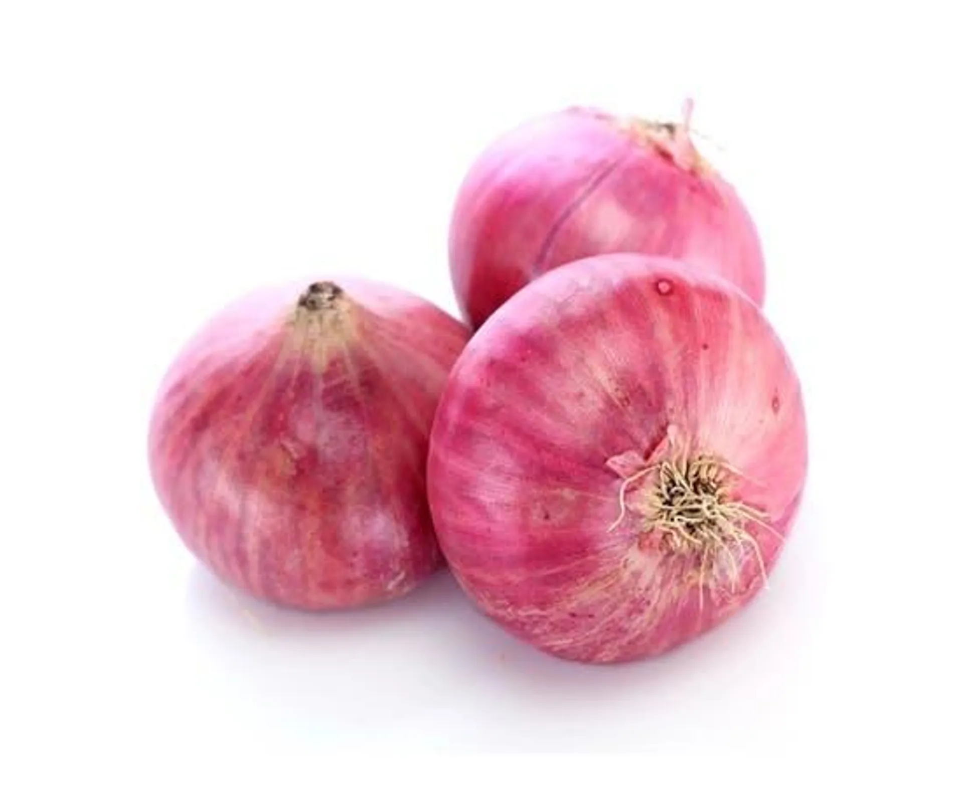Loose Onion, India