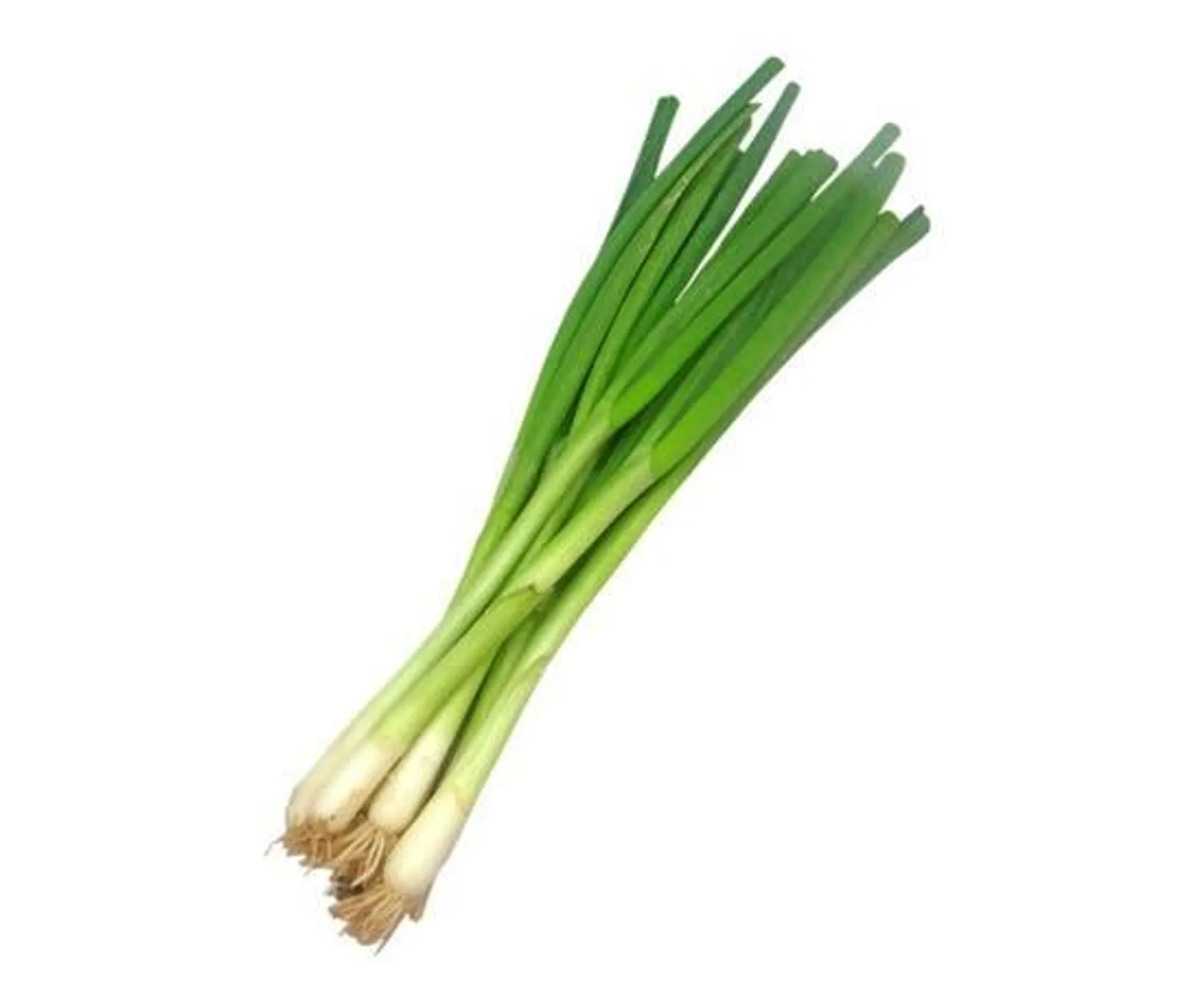 Green Onion Premium - UAE