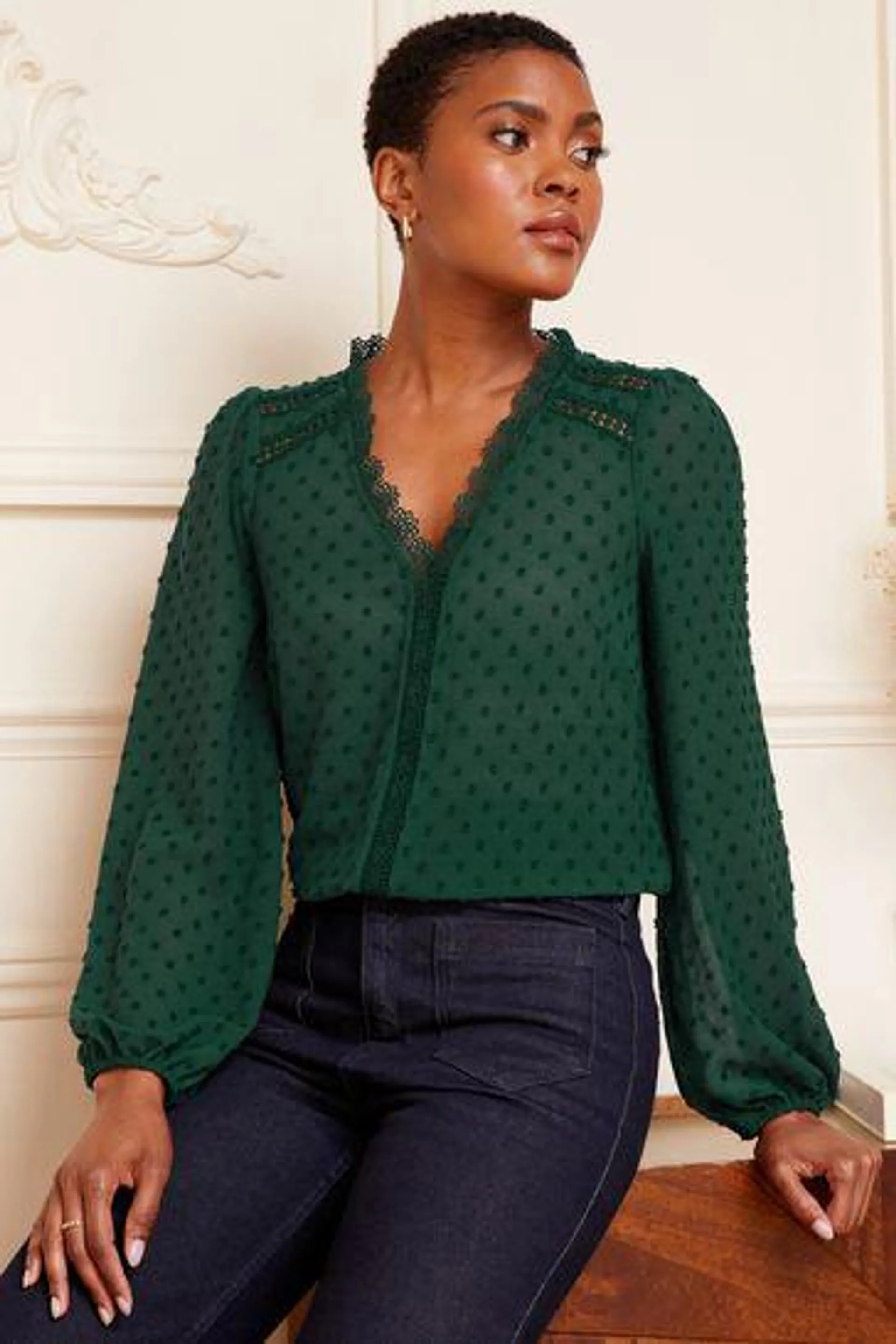 Love & Roses V Neck Lace Long Sleeve Lace Trim Dobby Blouse