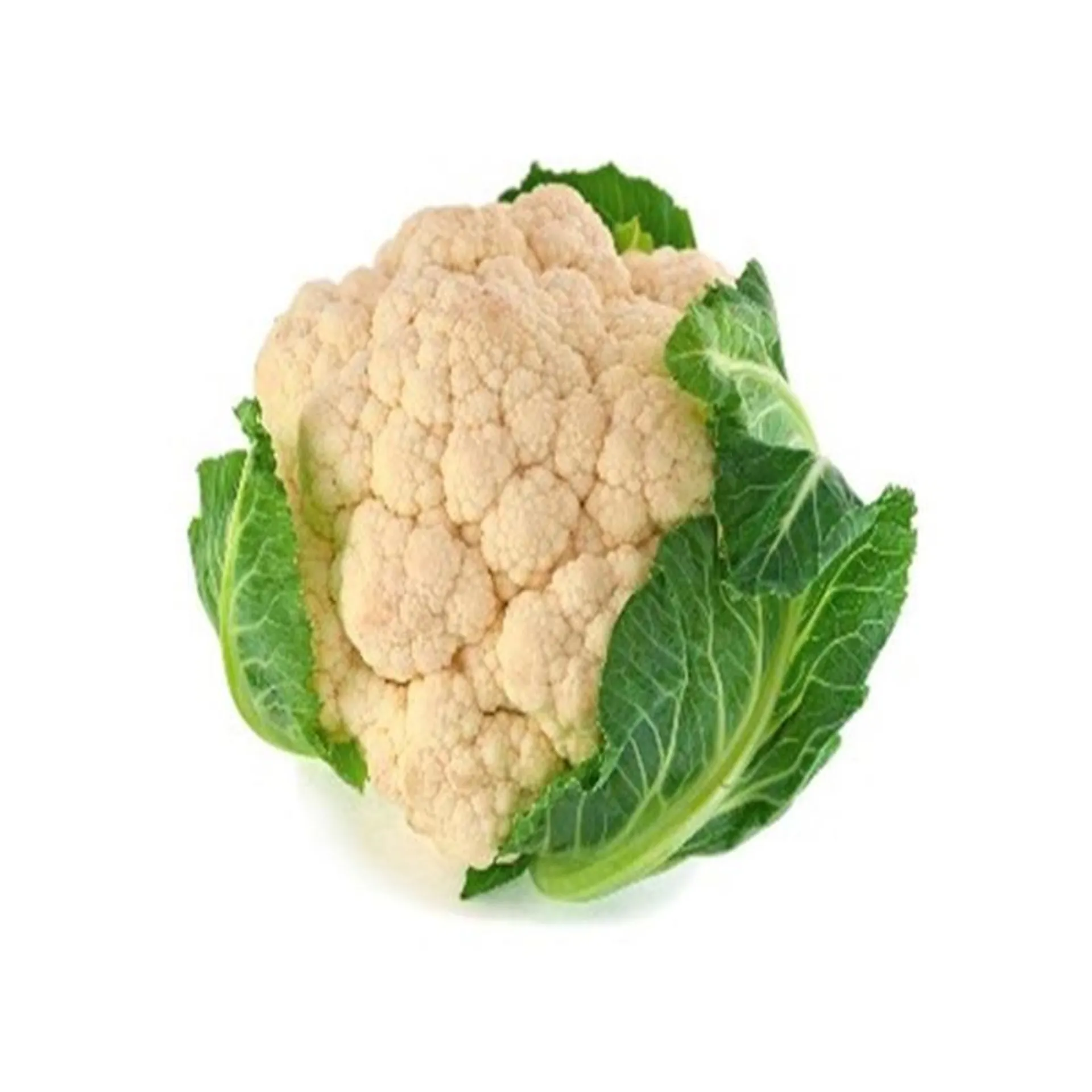 Cauliflower White