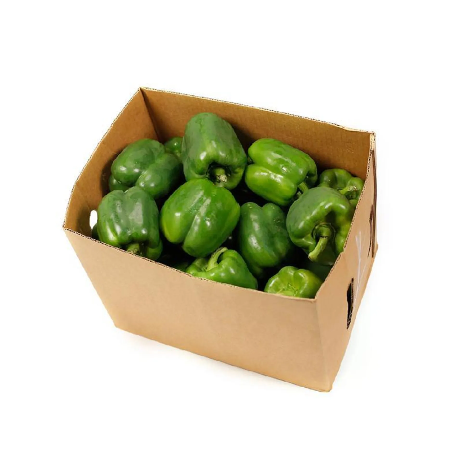 Capsicum Green