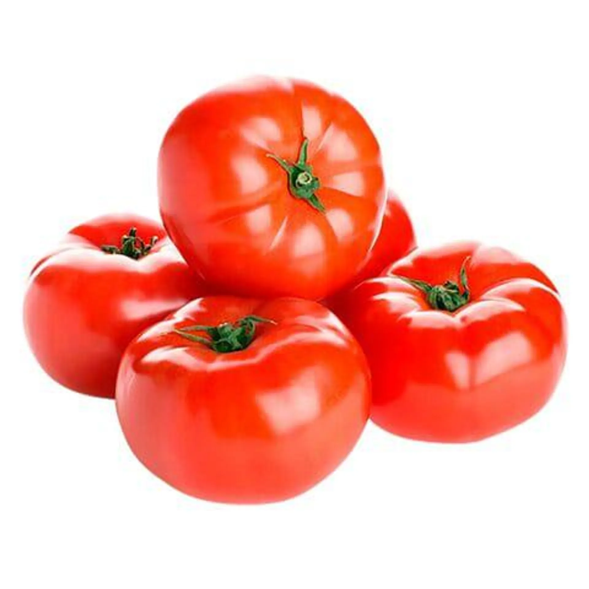 Beef Tomato