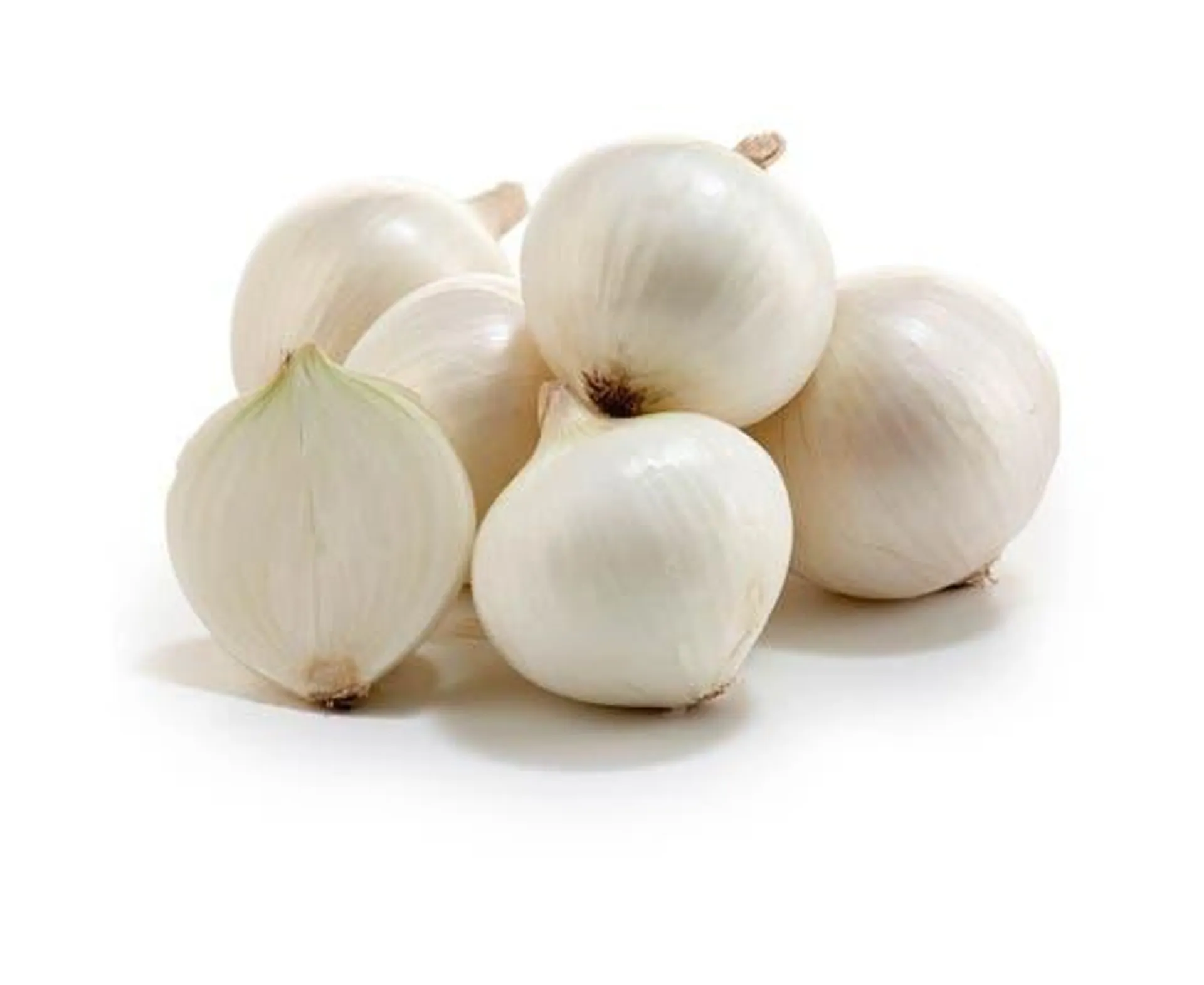 Onion White - Spain