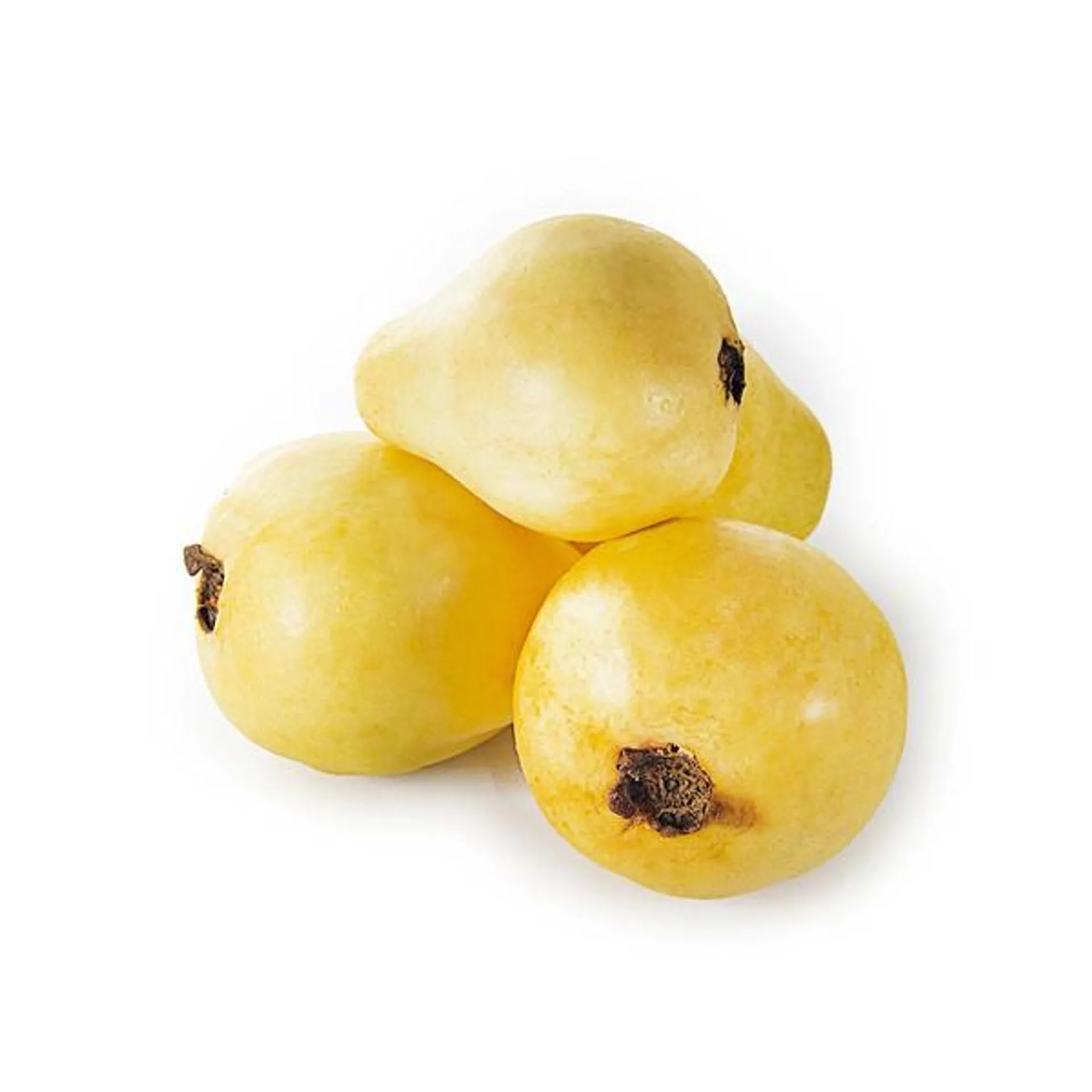 Guava Egypt