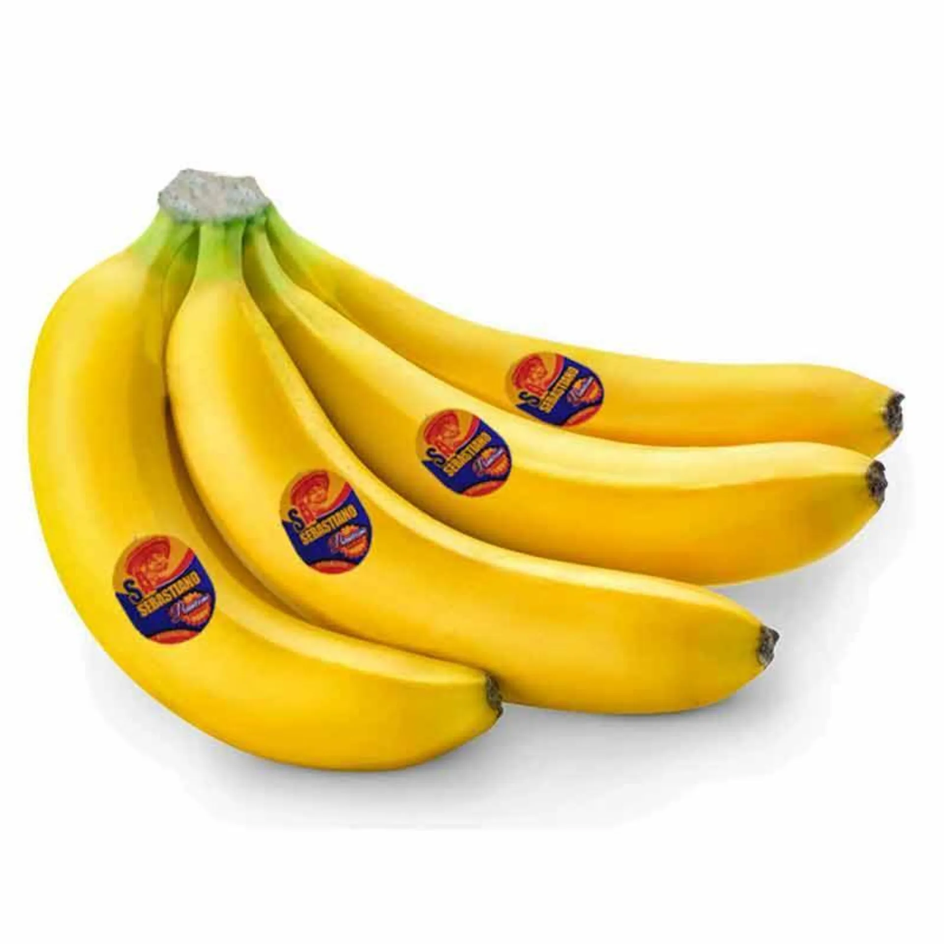 Sebastiano Banana