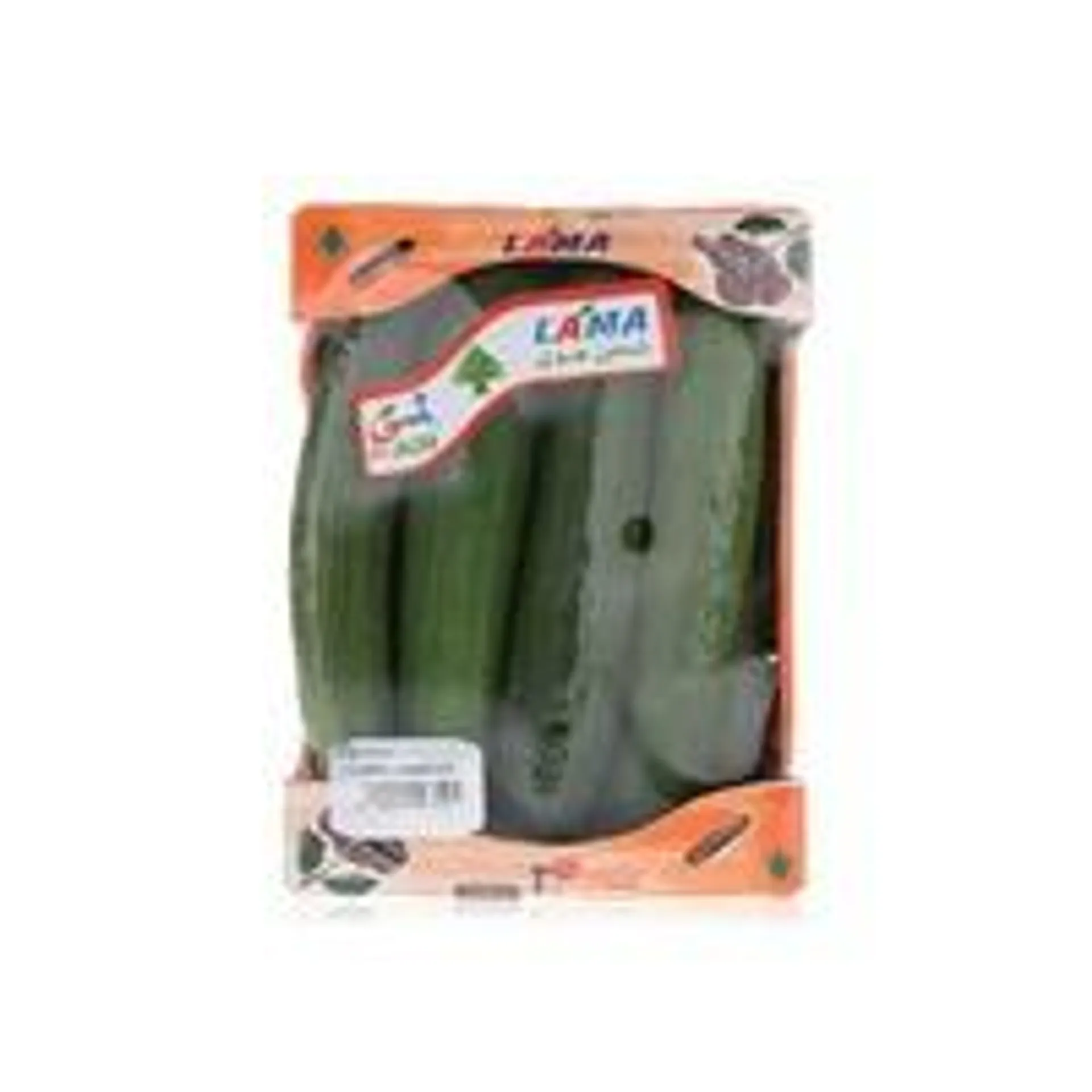 Cucumber Lebanon 570g