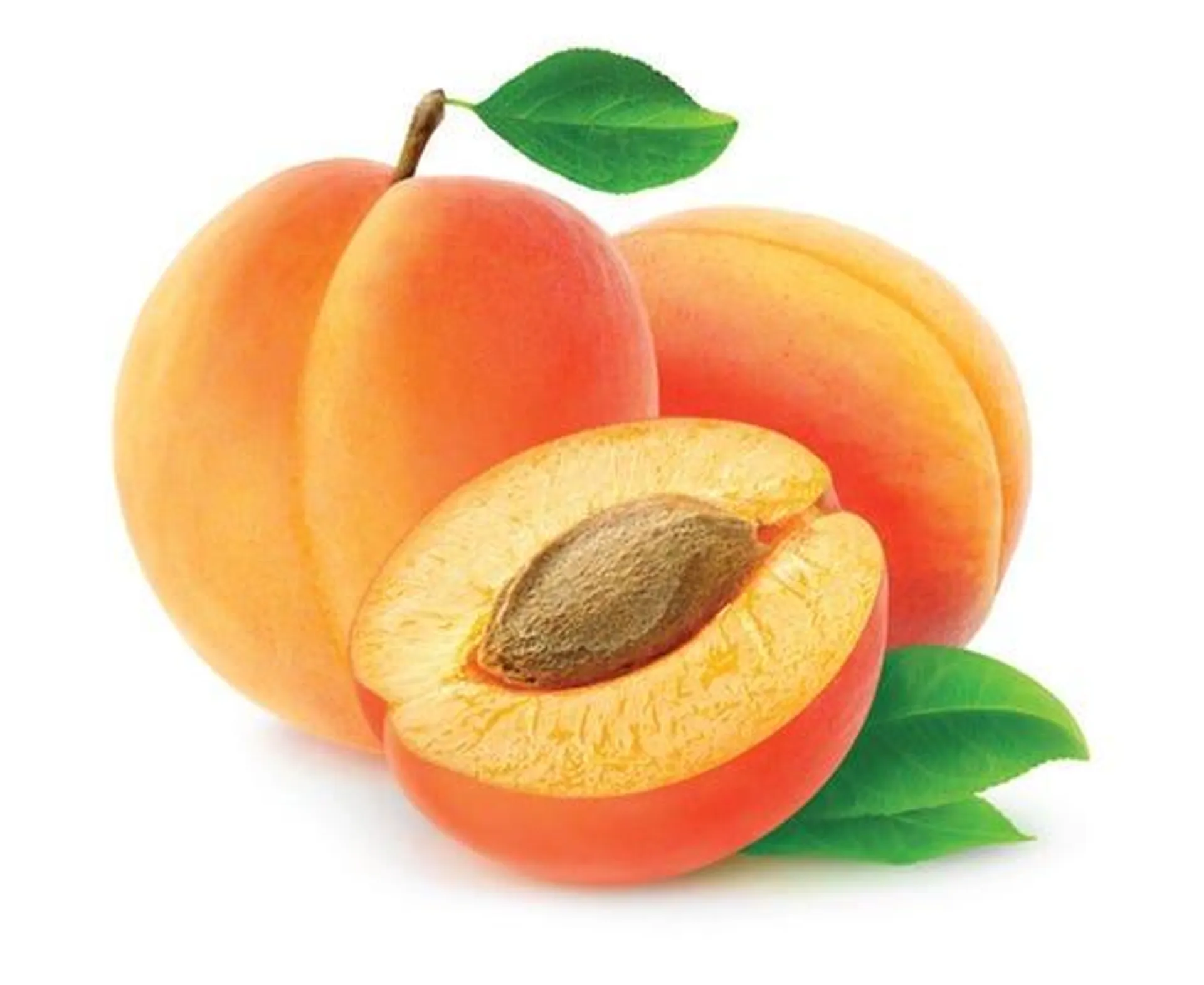 Apricot - South Africa