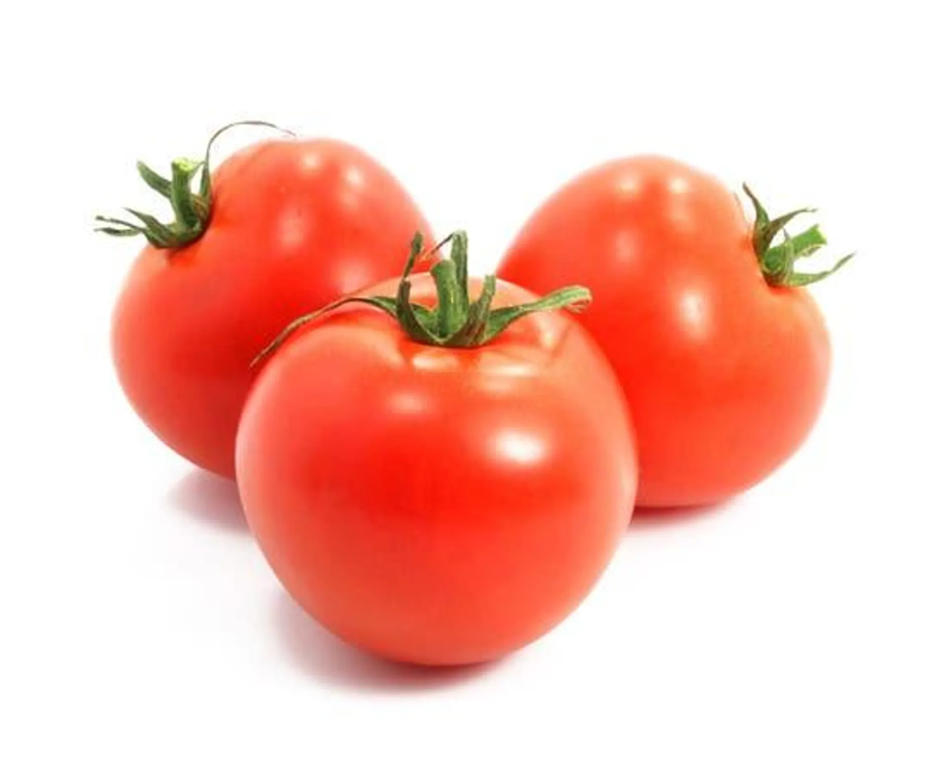 Tomato (Green House)