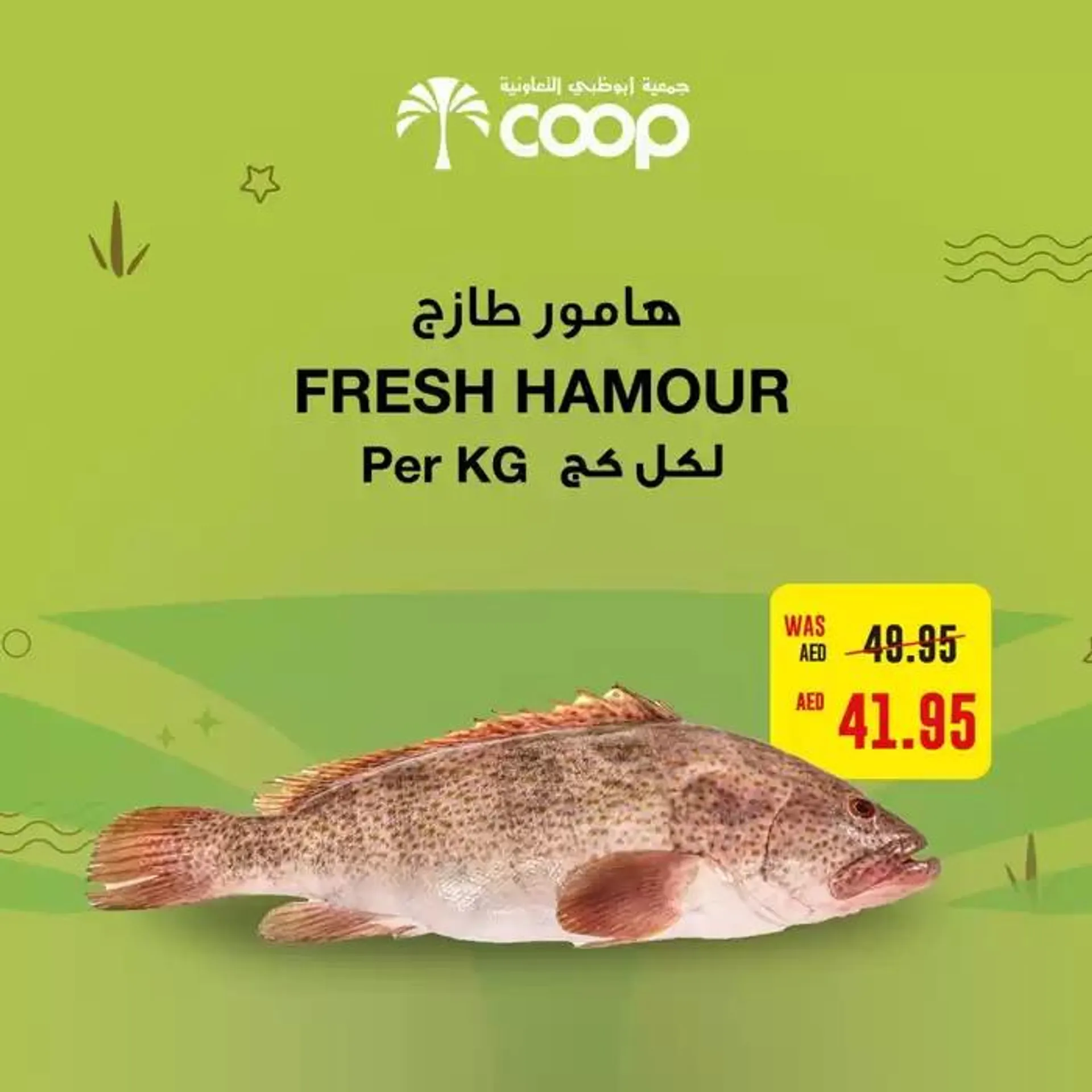 Abudhabi Coop promotion from 24 November to 8 December 2024 - Offers page 2