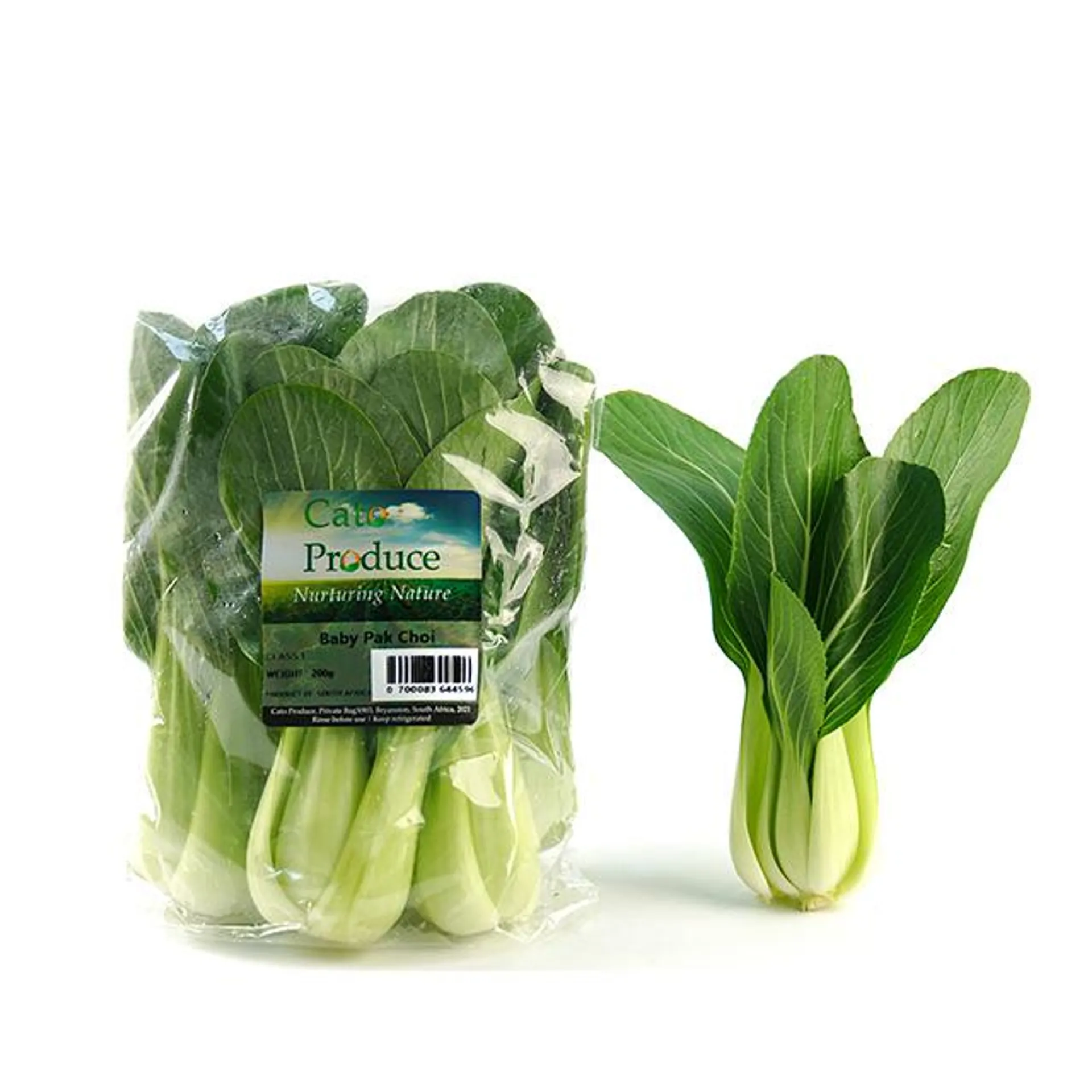 Pakchoi Baby