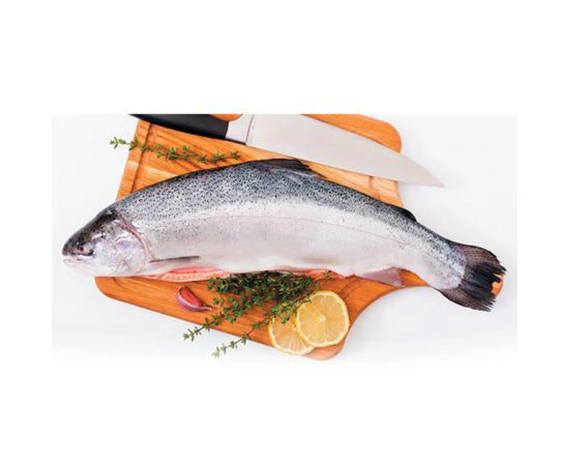 Salmon - Norway