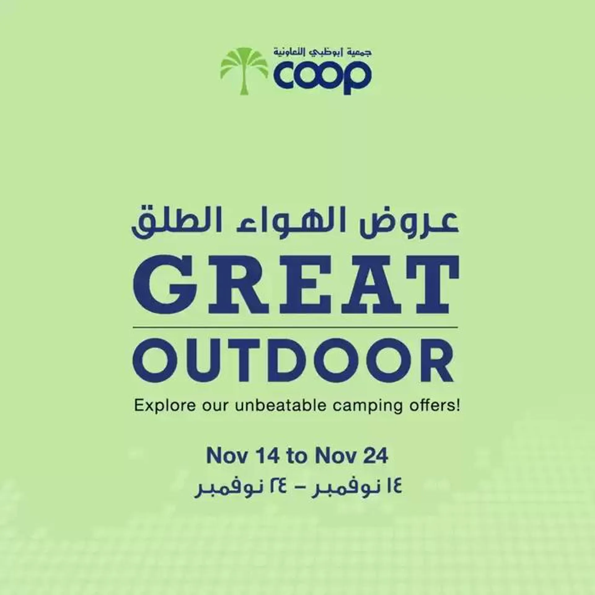 Abudhabi Coop promotion from 20 November to 4 December 2024 - Offers page 6