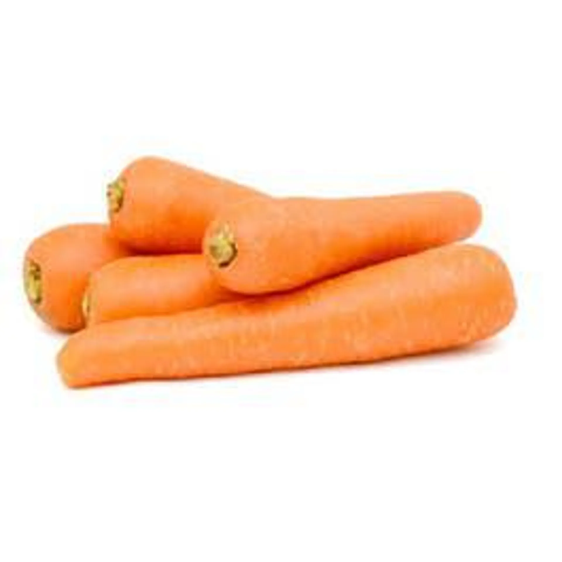 Carrot Loose - Australia