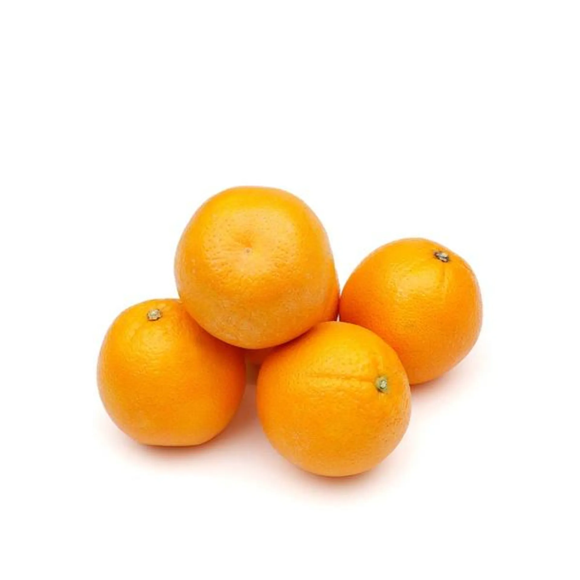 Valencia orange South Africa