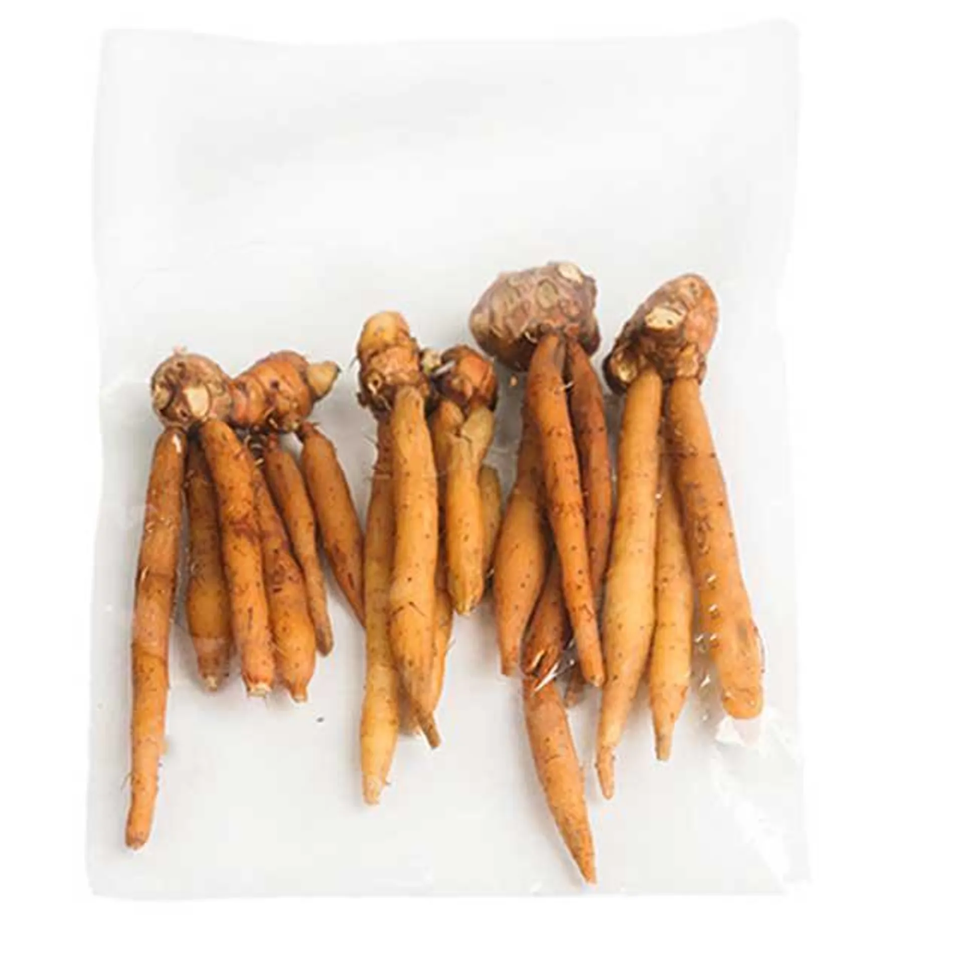 Chinese Ginger