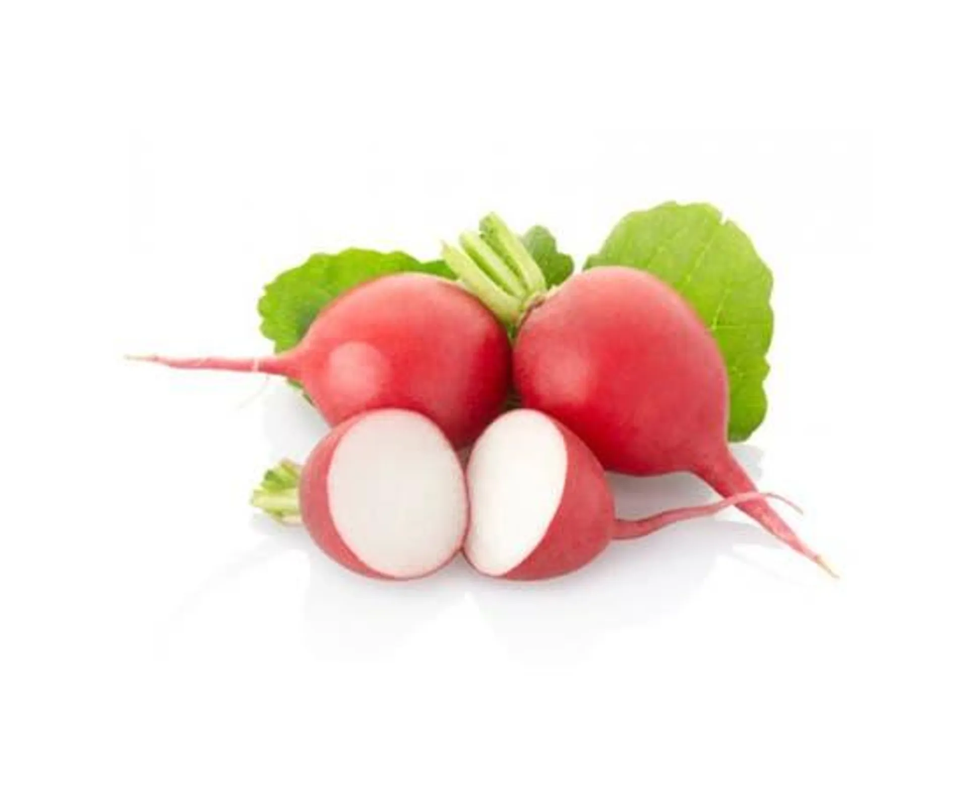 Red Radish Holland