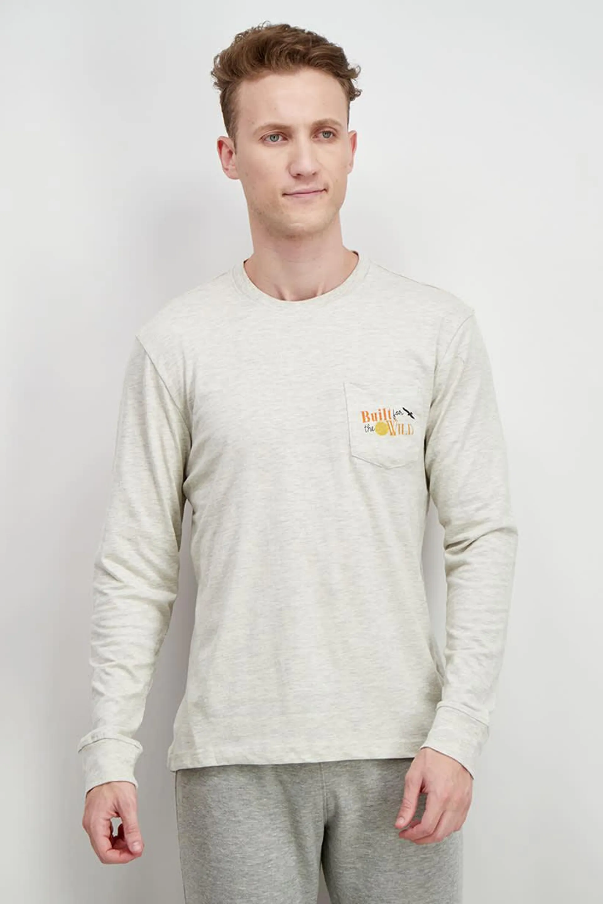 Men Crew Neck Long Sleeve Brand Logo T-shirt, Oatmeal Heather