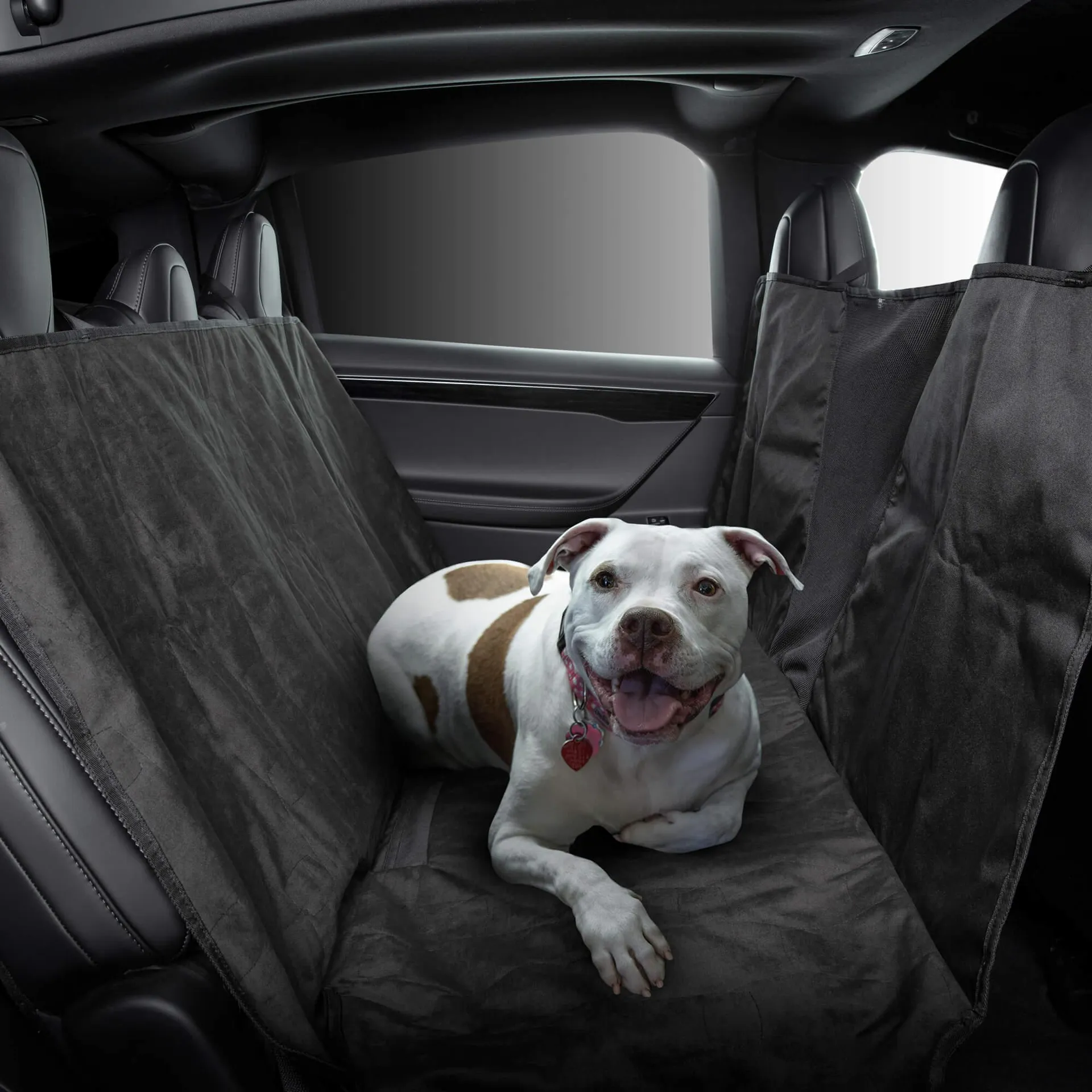 Model X Pet Liner