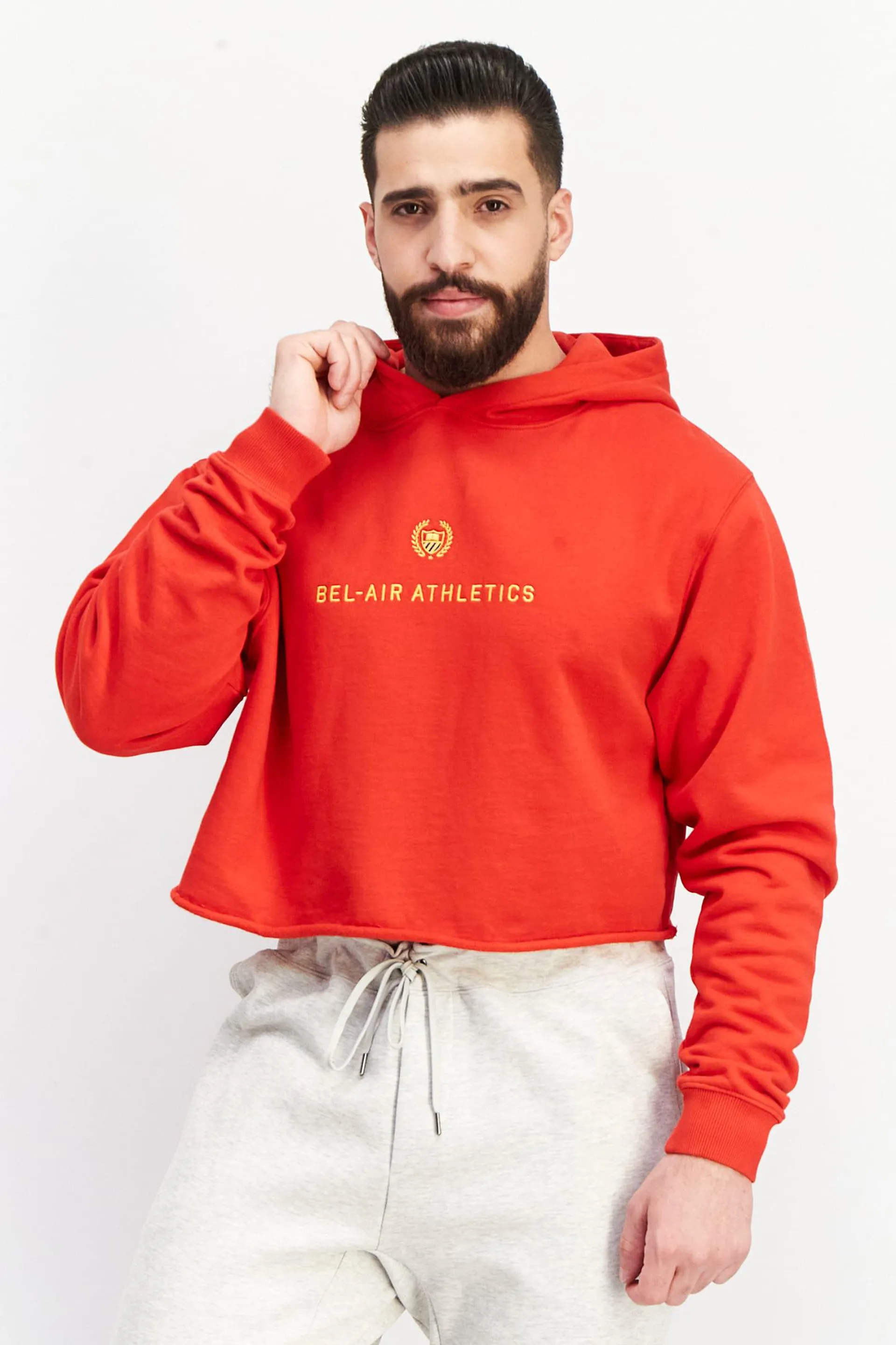 Men Sportswear Fit Embroidered Fleece Hoodie, Red