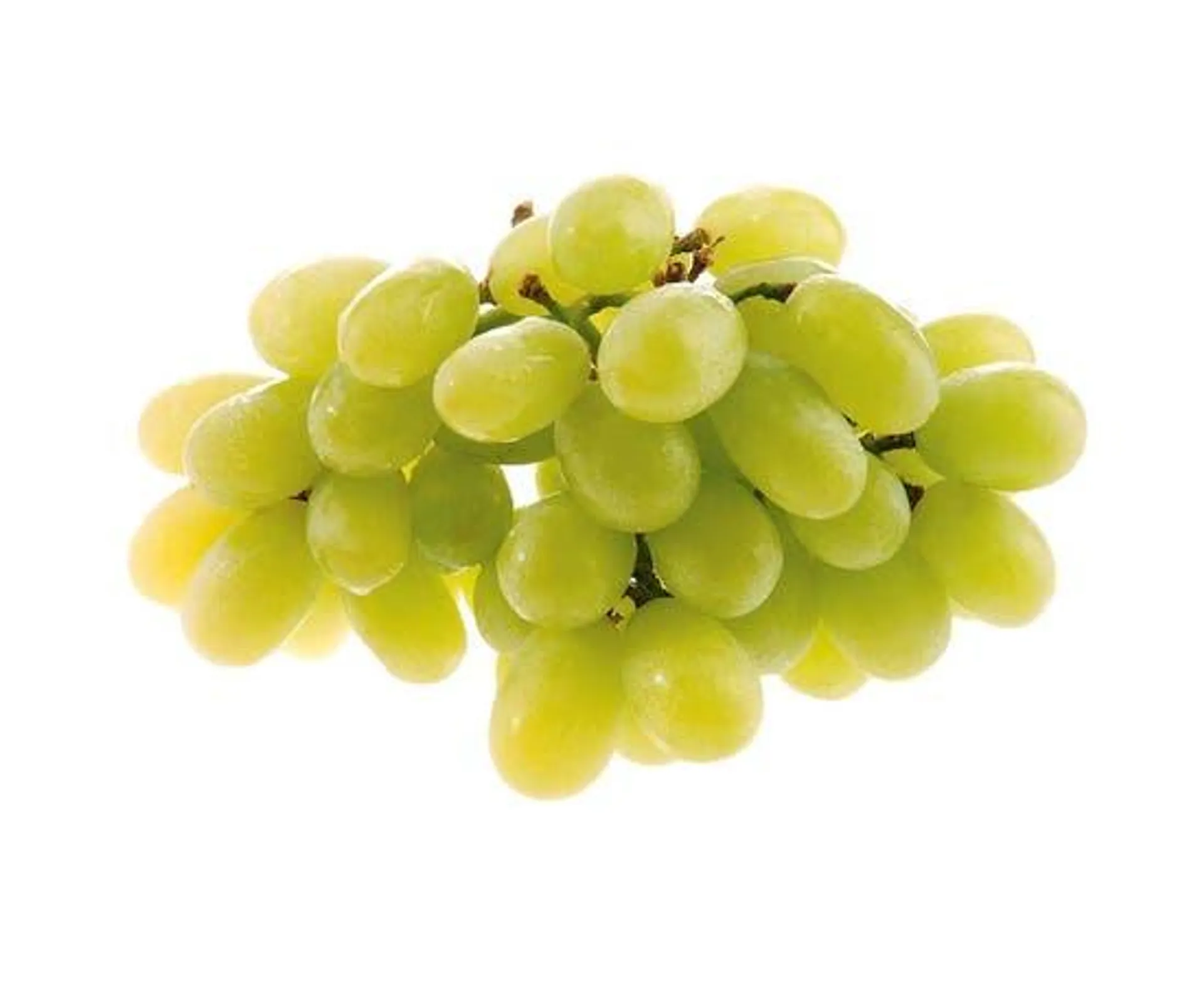 White Seedless Grape - Australia