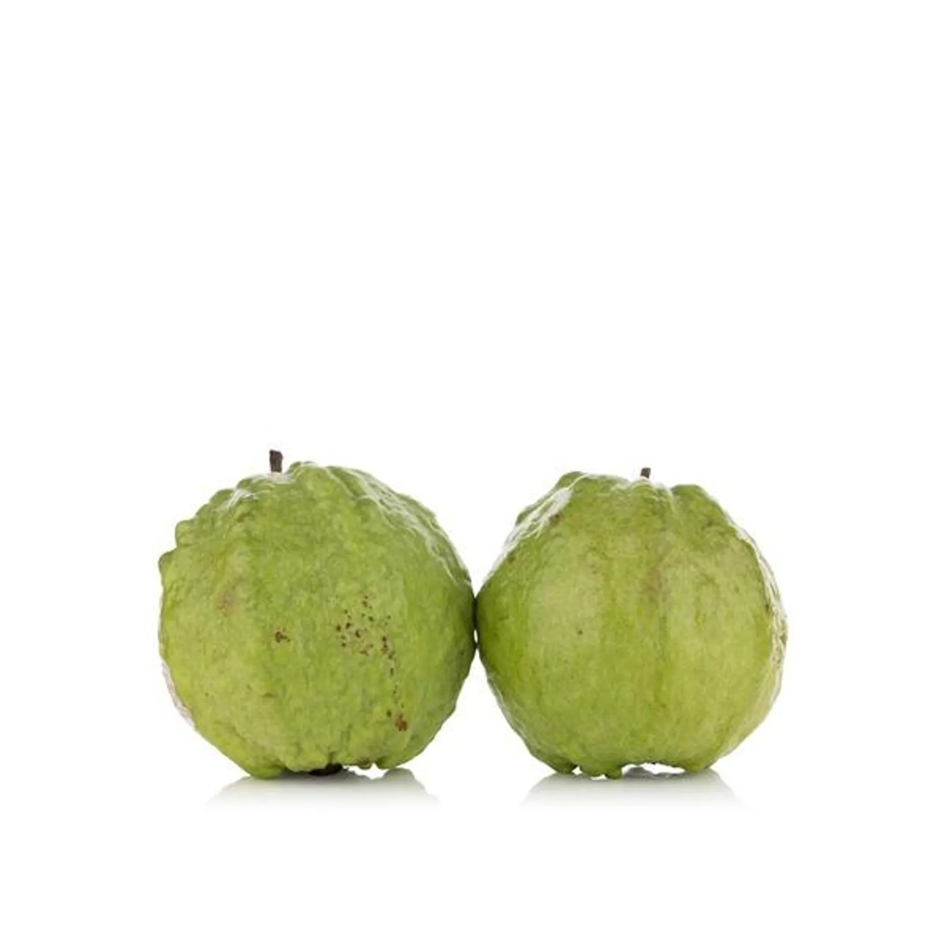 White flesh guava india