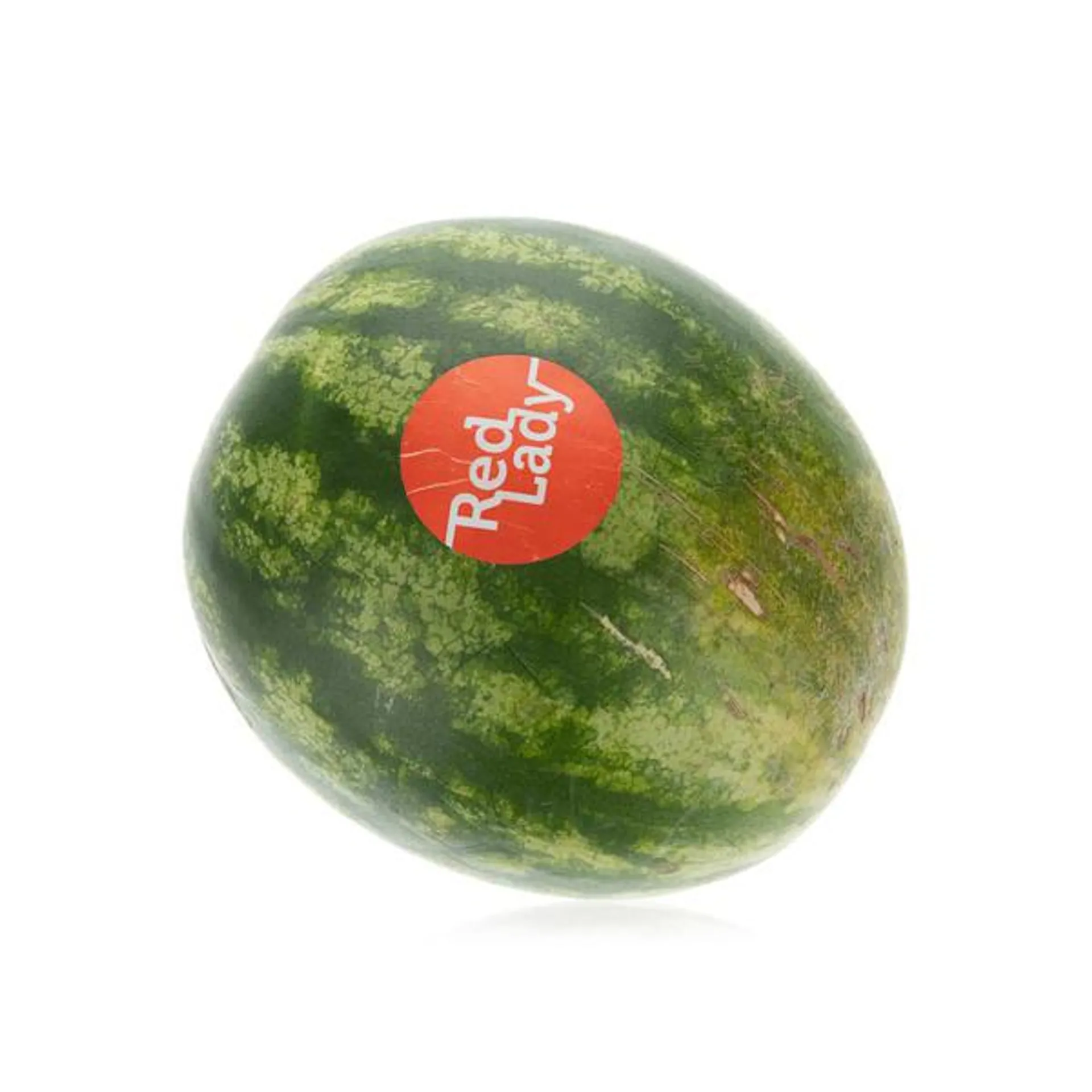 Watermelon India