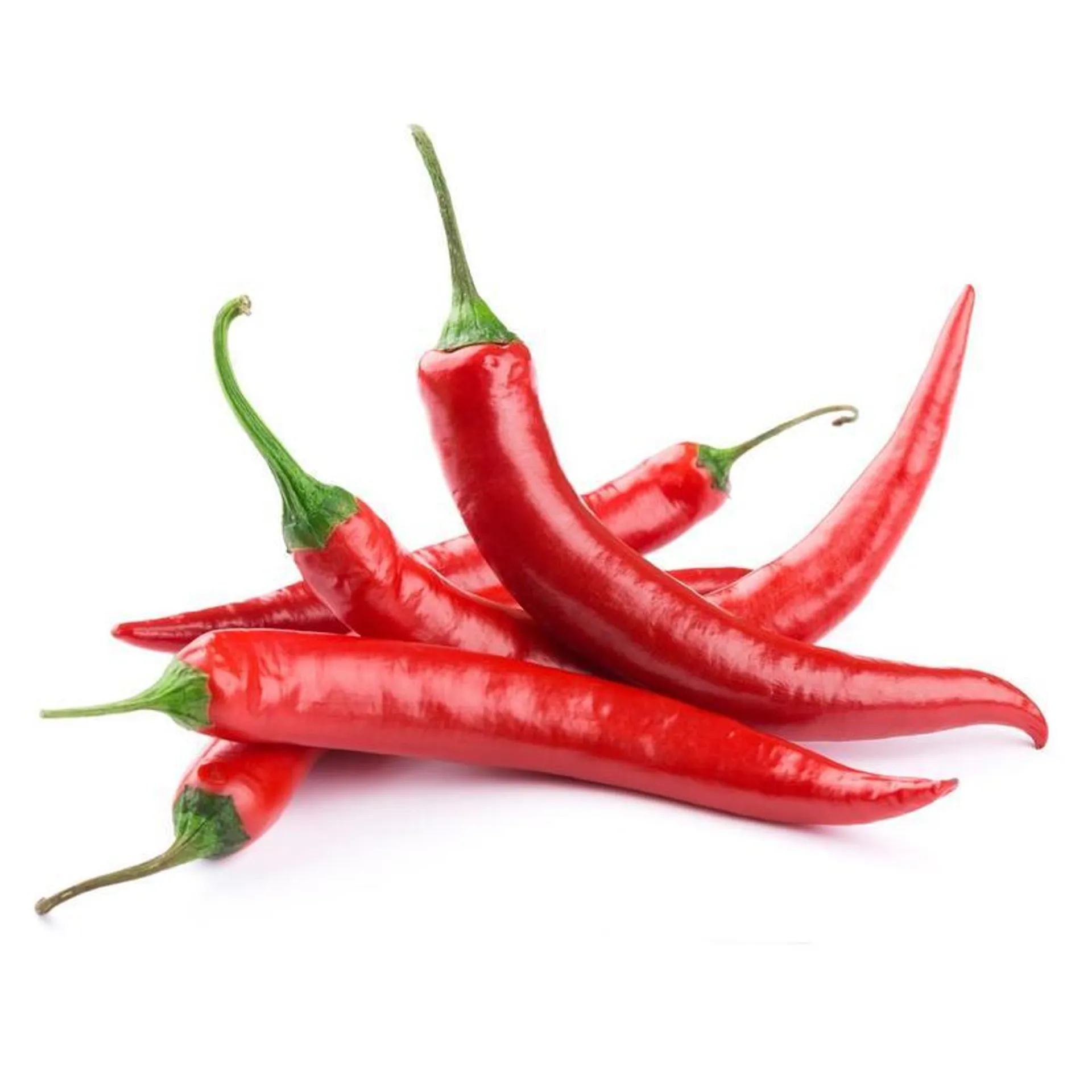 Long Red Chili