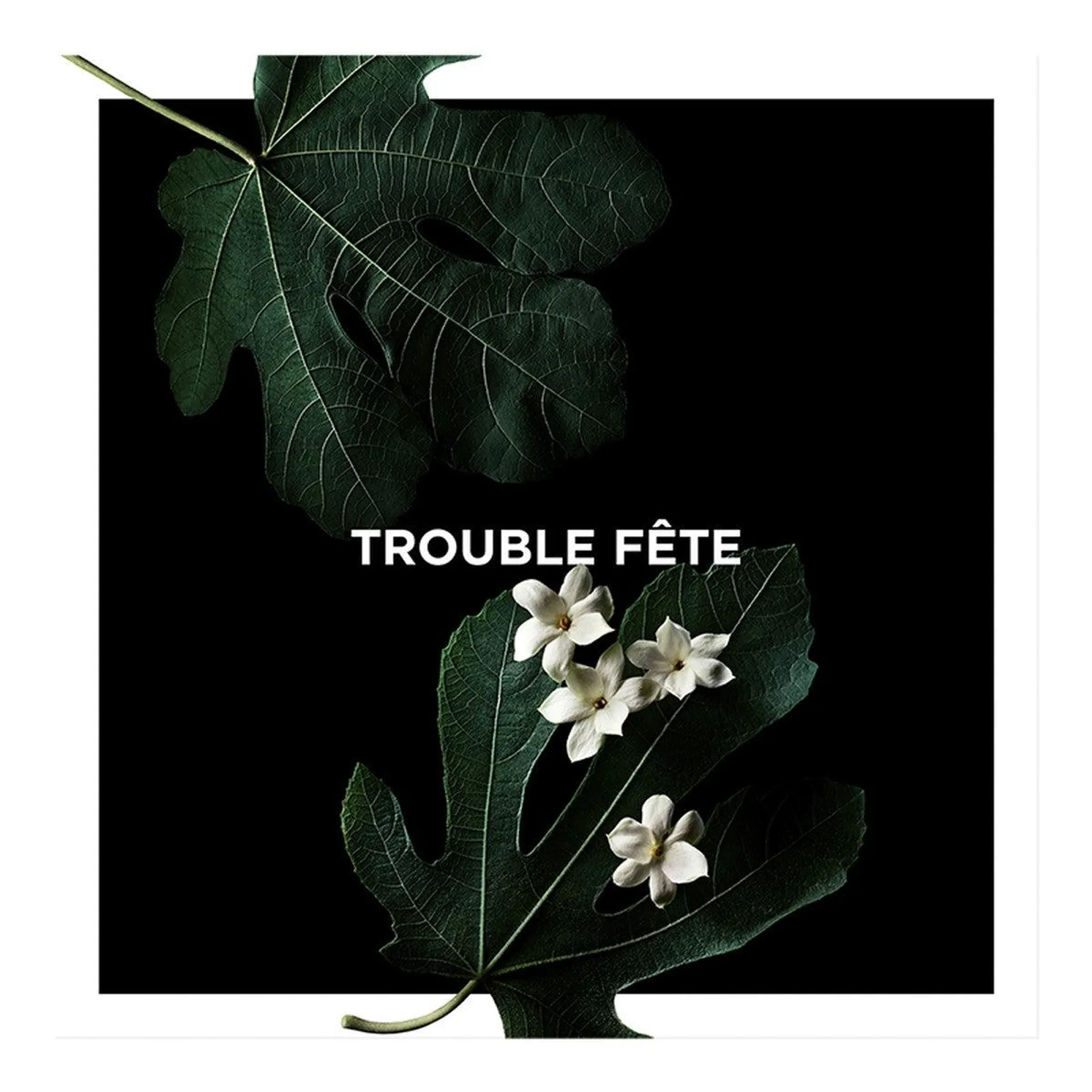 TROUBLE-FÊTE