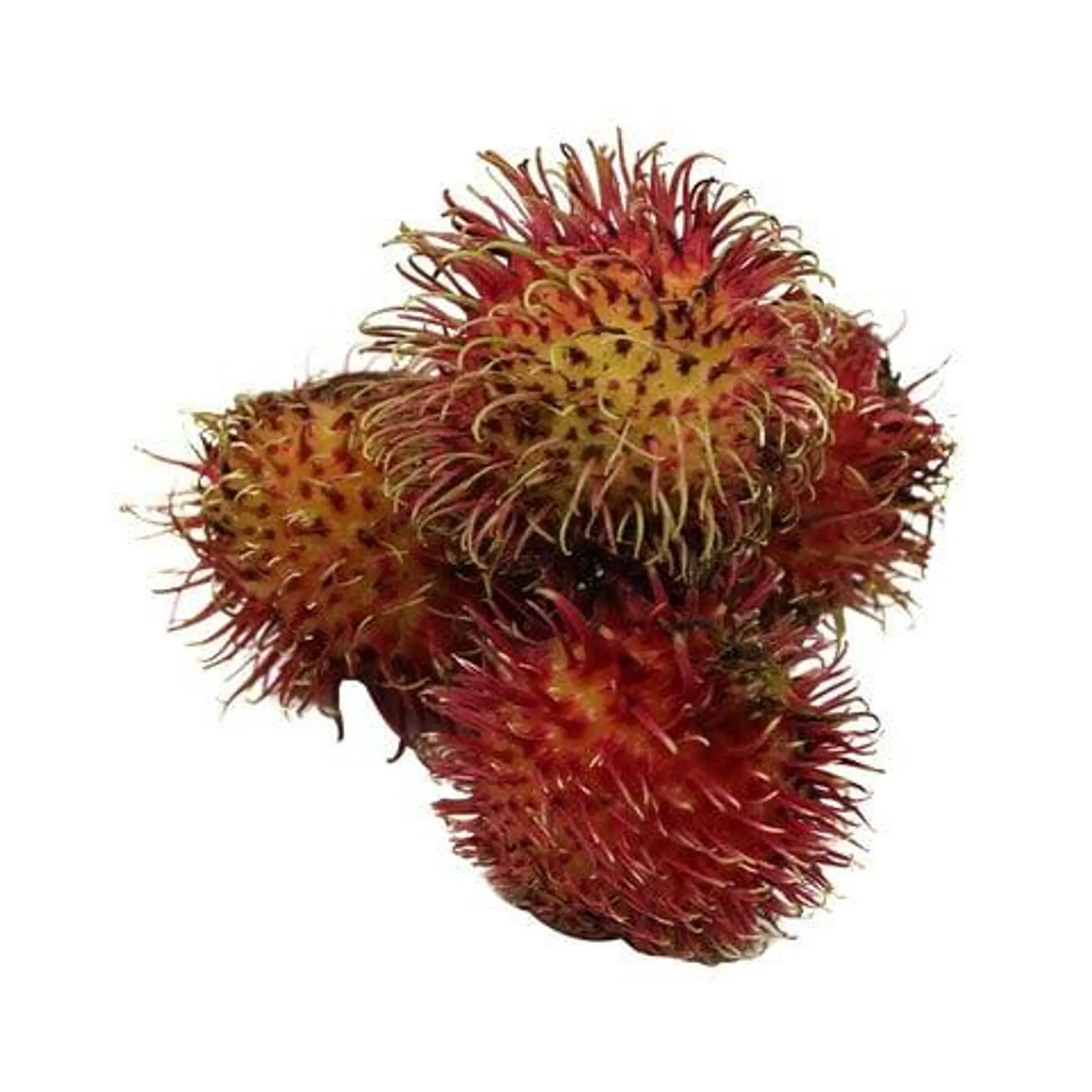 Rambutans 500g