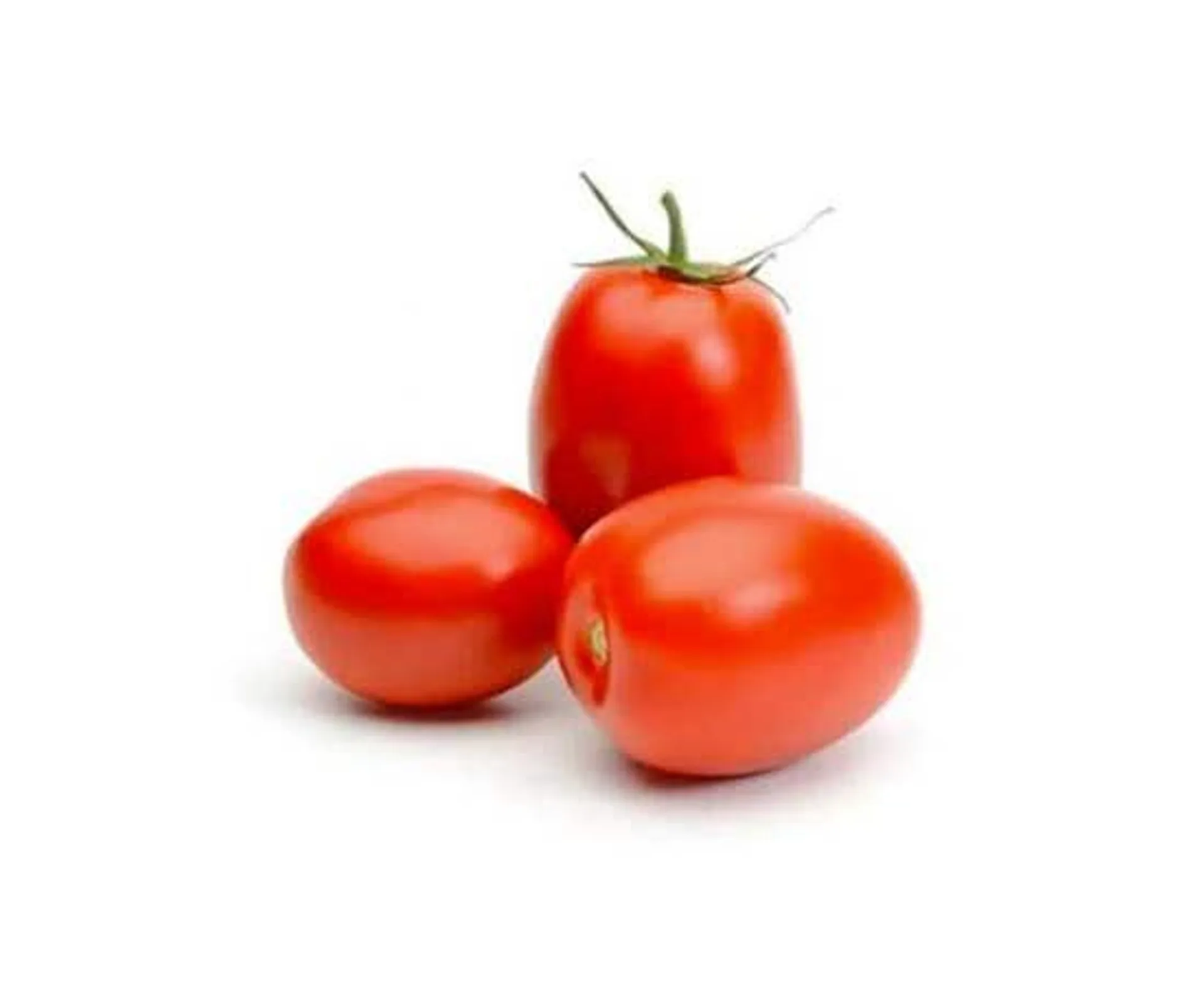 Tomato Plum - Holland