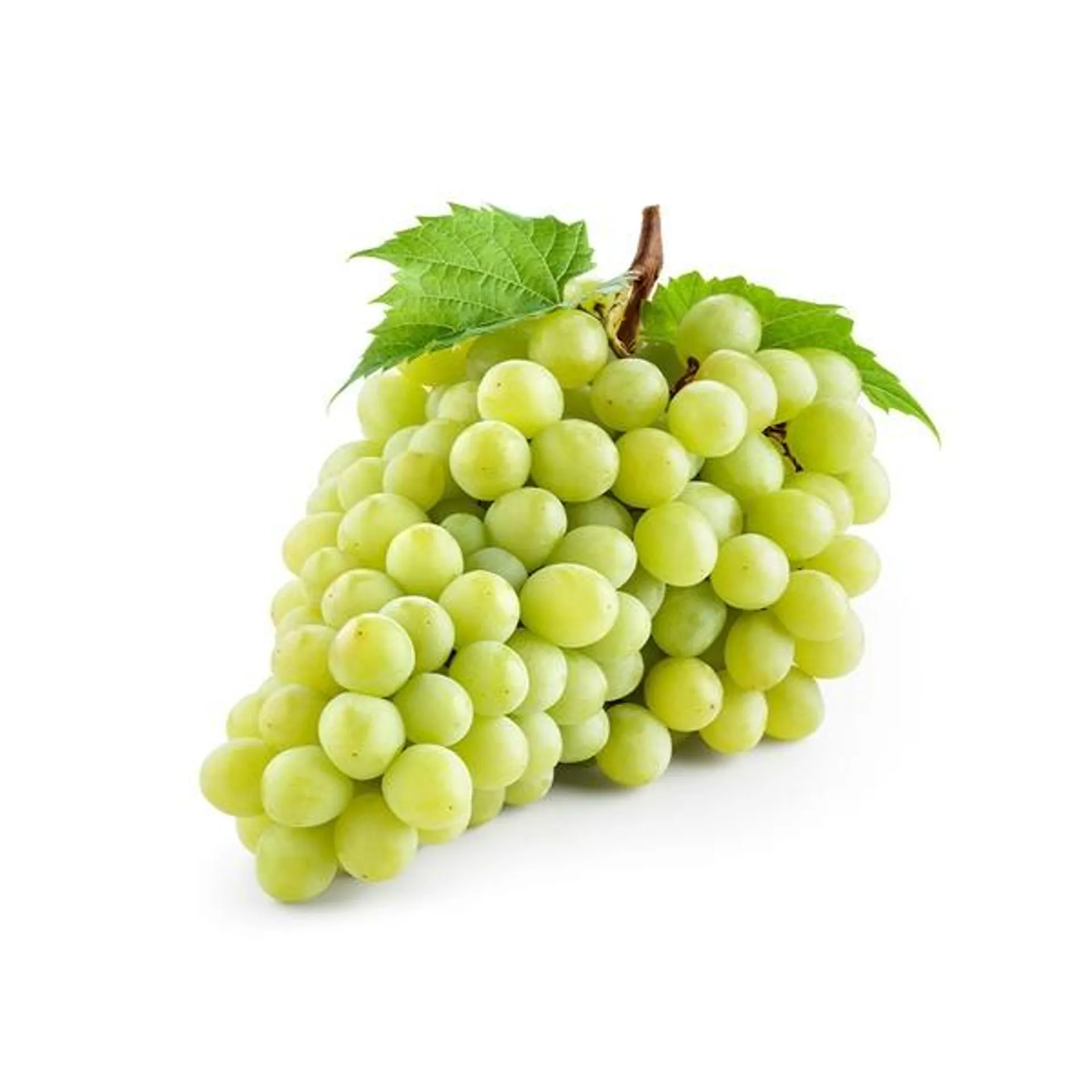 Grapes White Seedless Egypt ≈ 500g