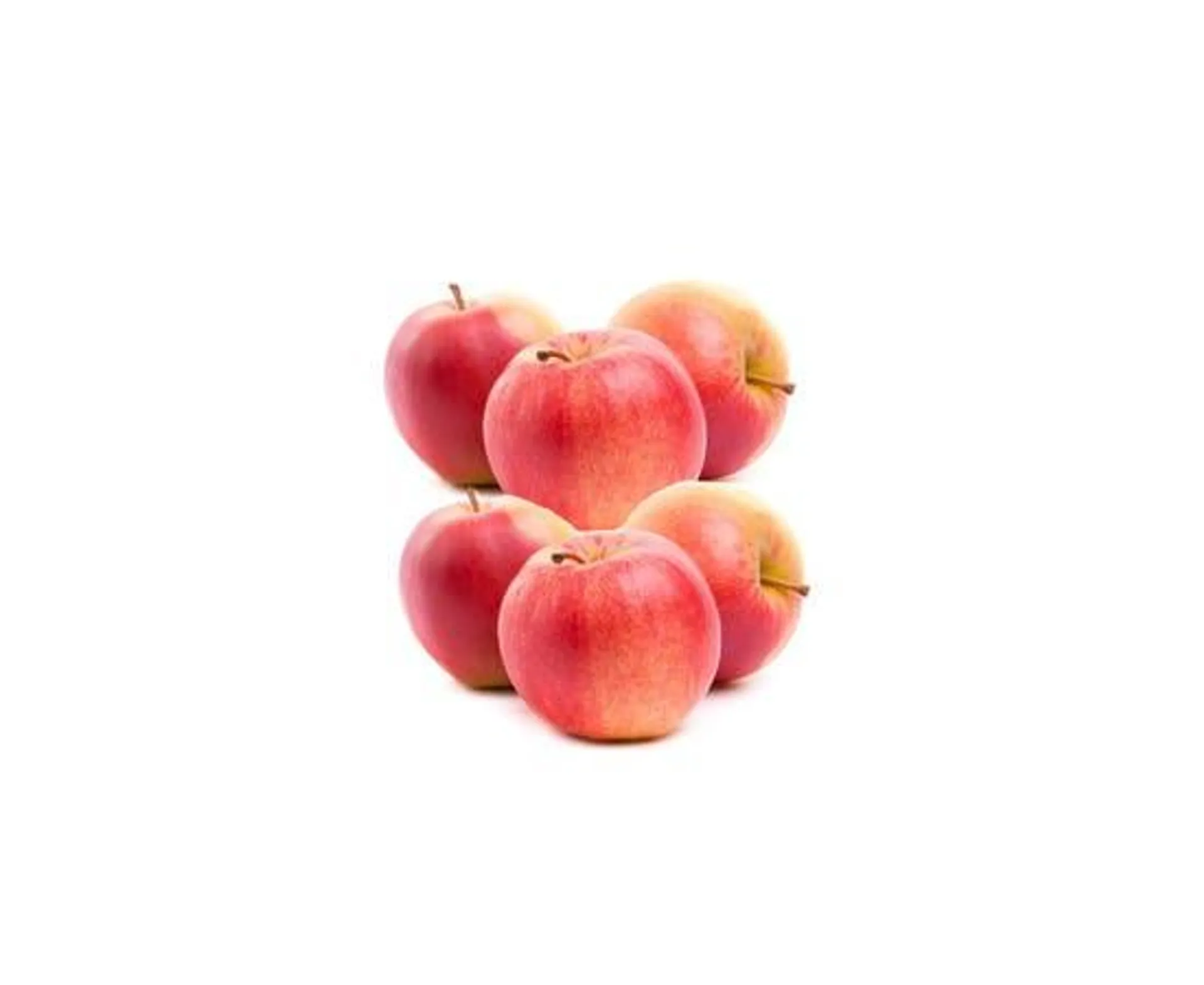 Fuji Apple Jumbo - China