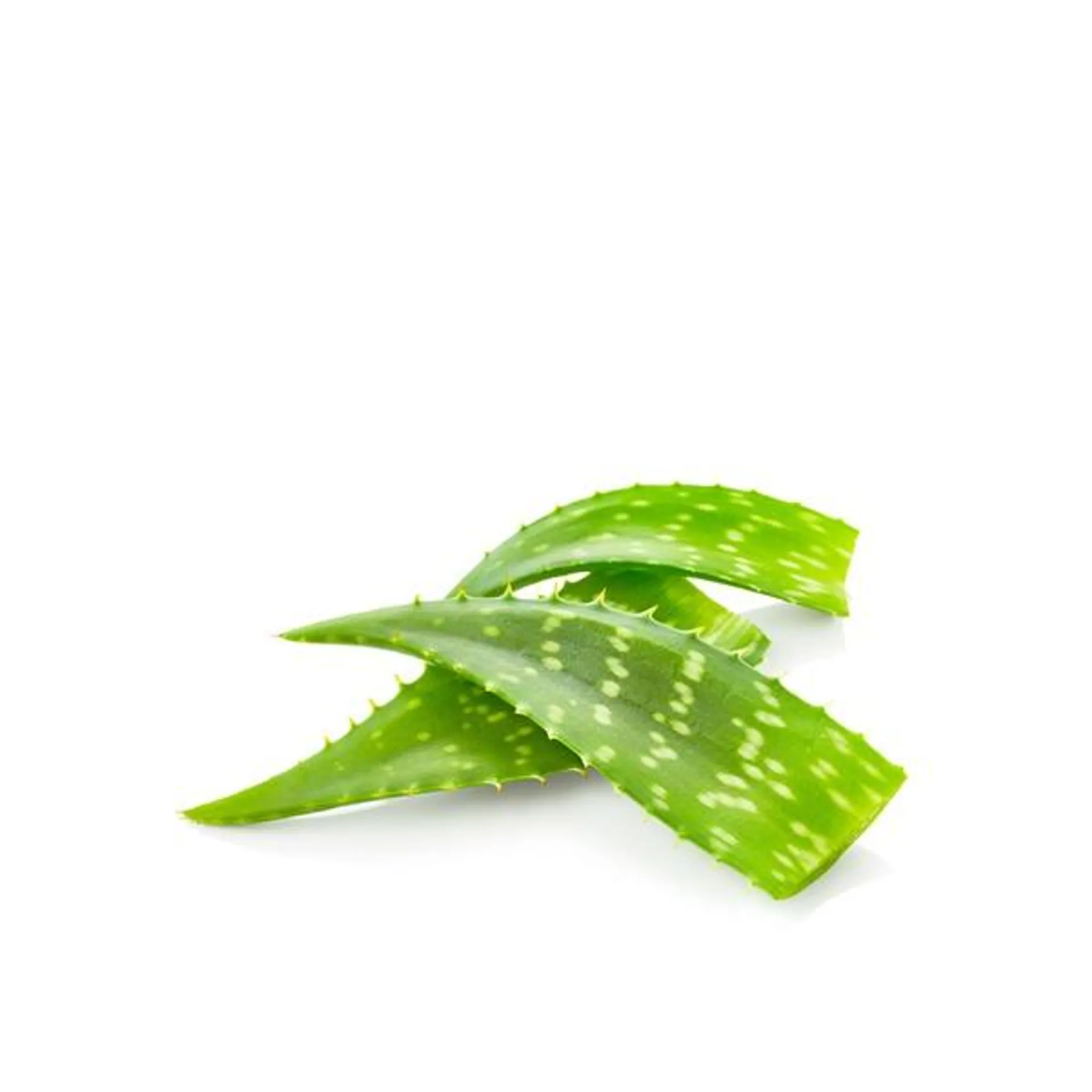 Organic fresh aloe vera 500g