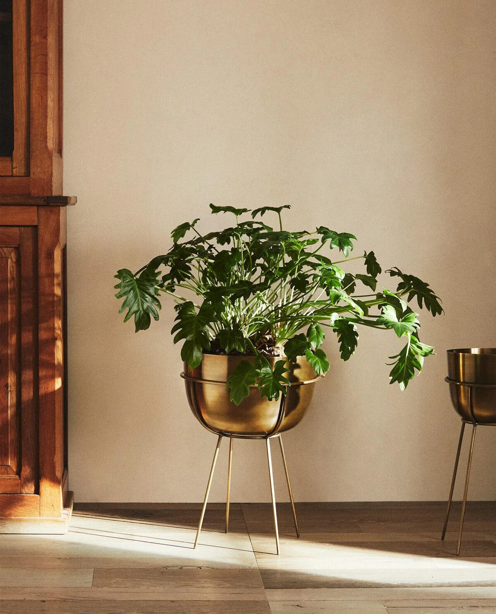 OVAL GOLD FLOWERPOT