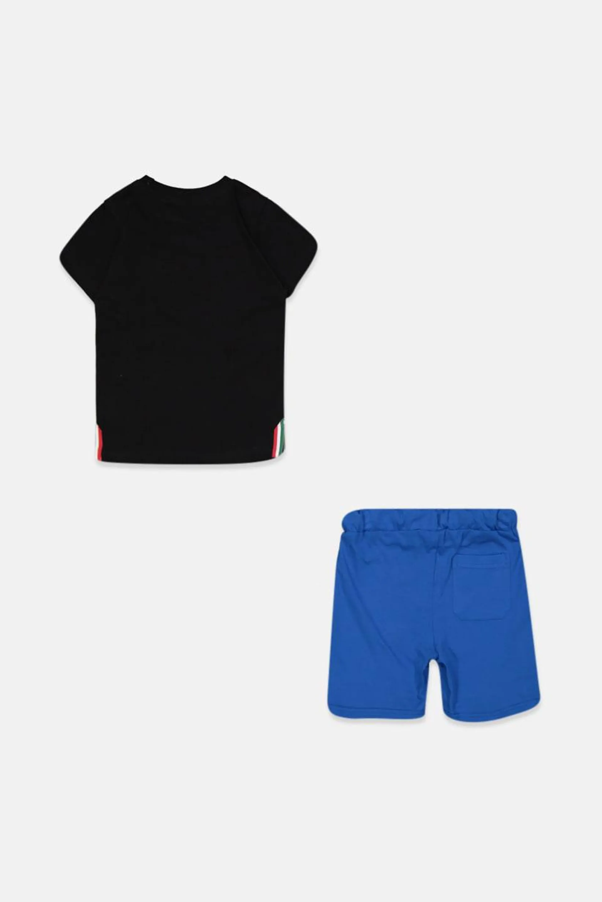 Toddlers Boy Graphic Print Tee and Shorts Set, Black and Blue