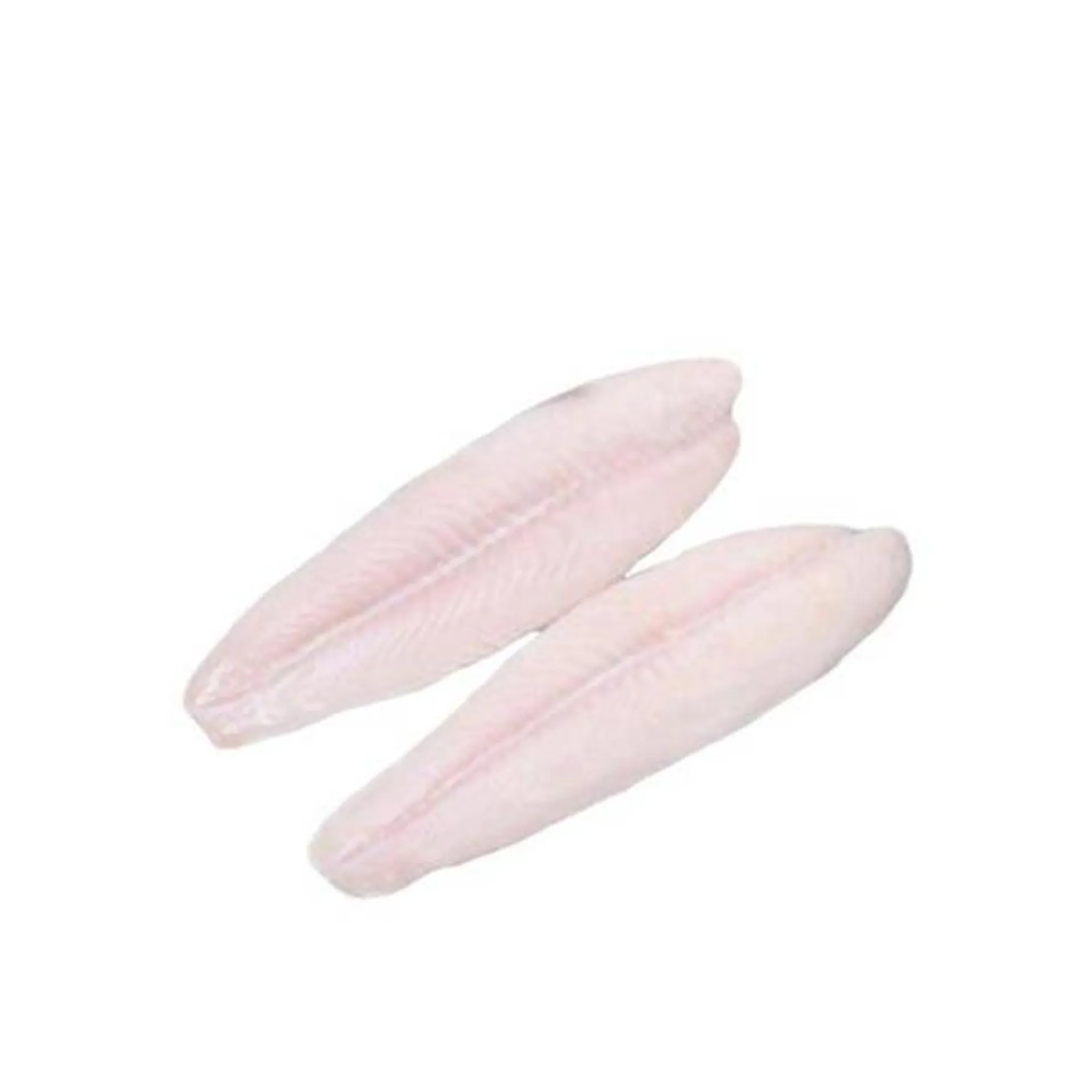 Cream Dory Fillet Defrosted