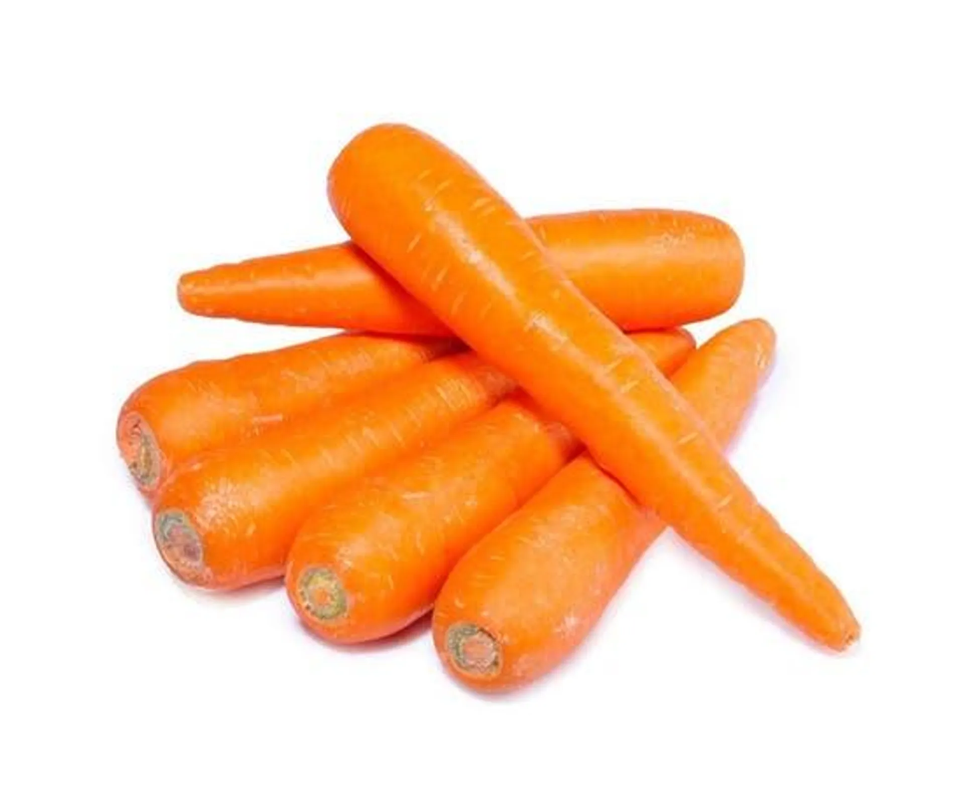 Carrot Australia