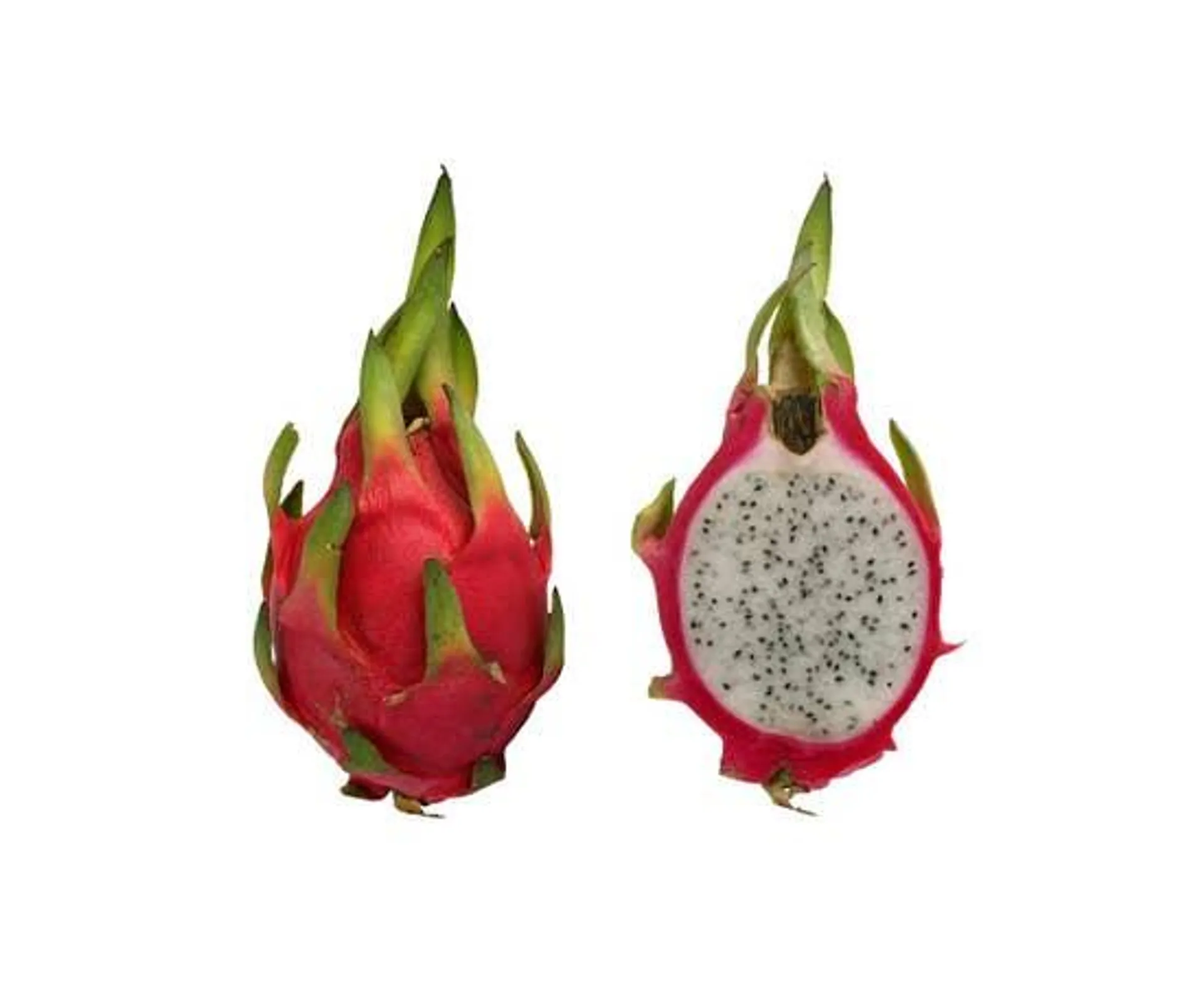 Dragon Fruit - Vietnam