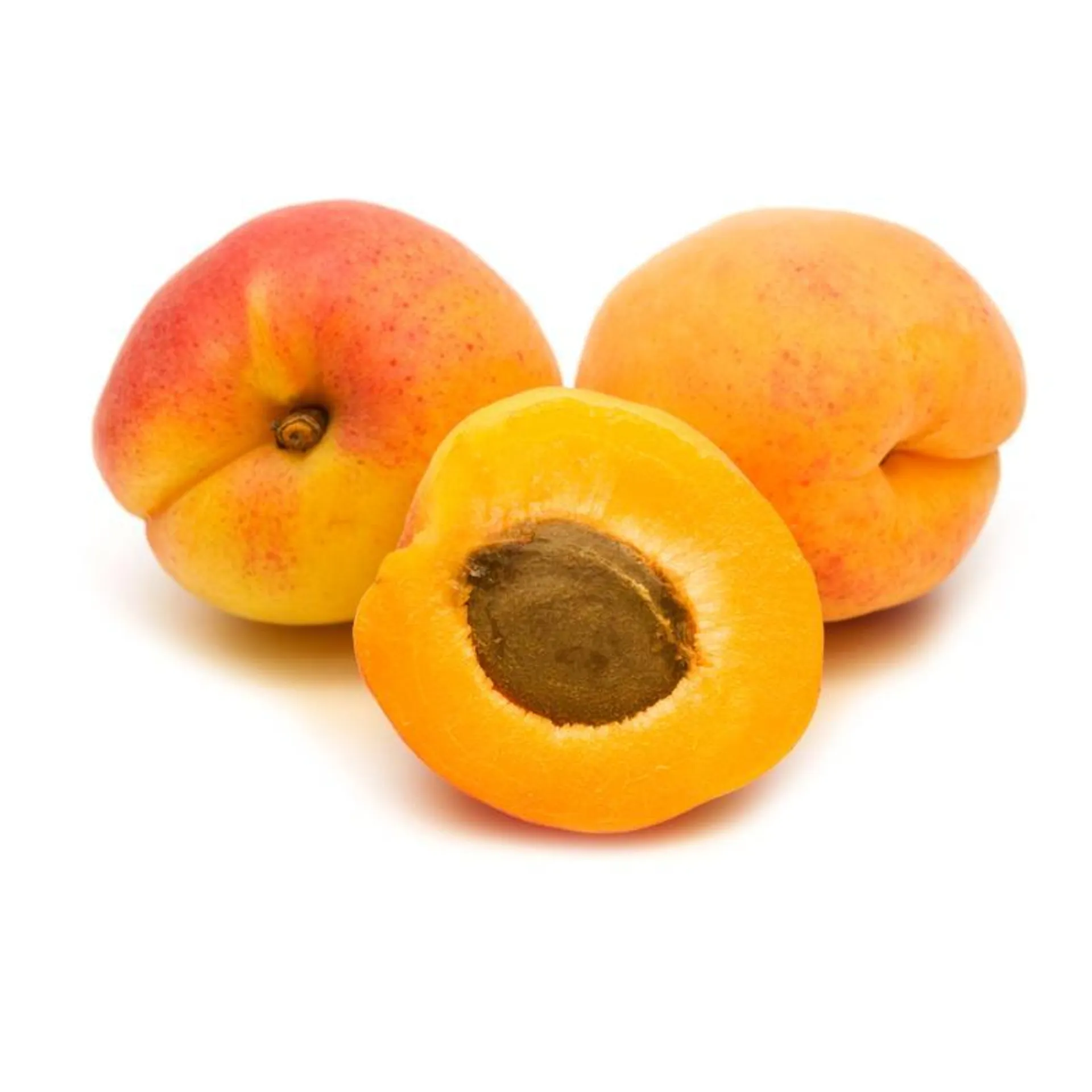 Apricot