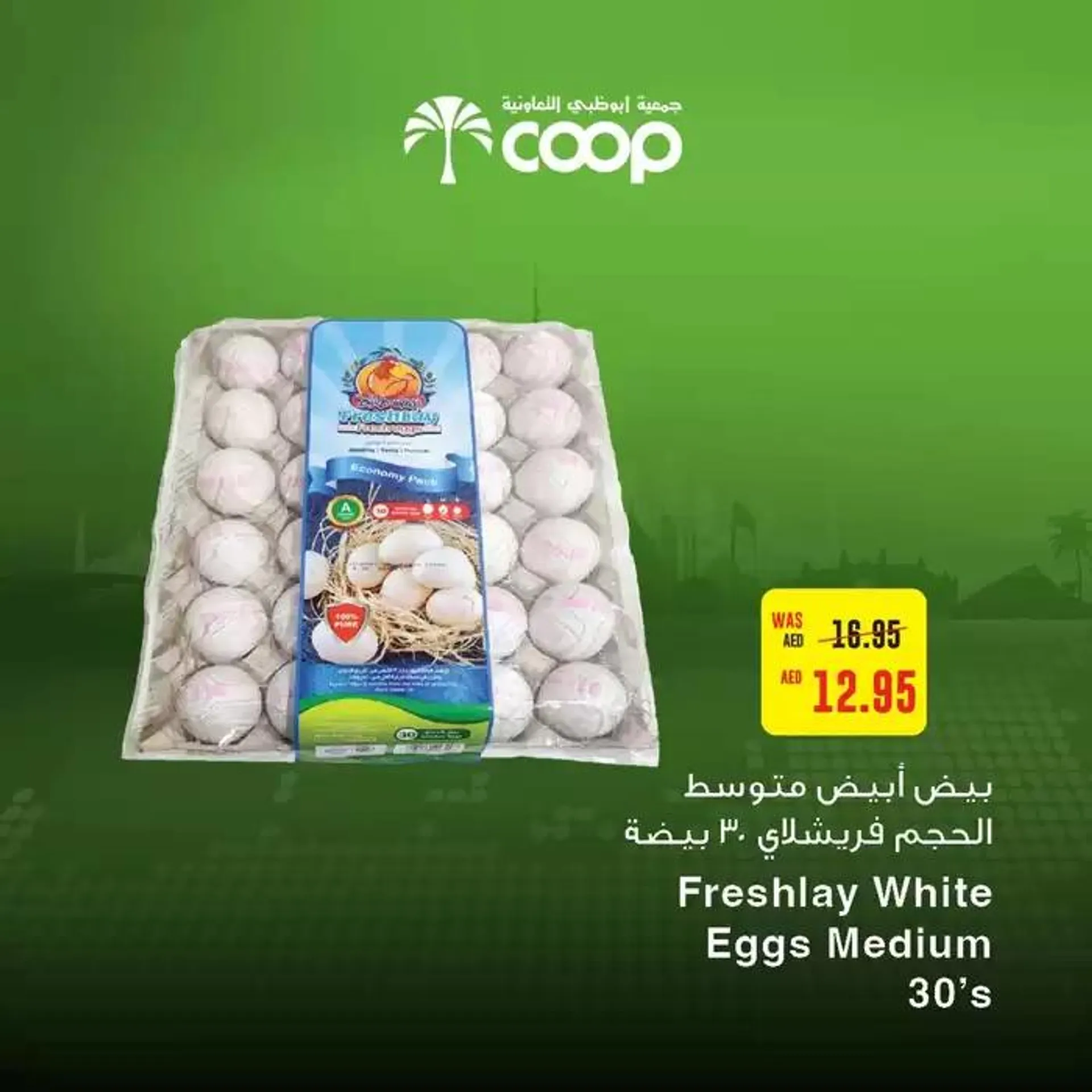 Abudhabi Coop promotion from 20 November to 4 December 2024 - Offers page 3