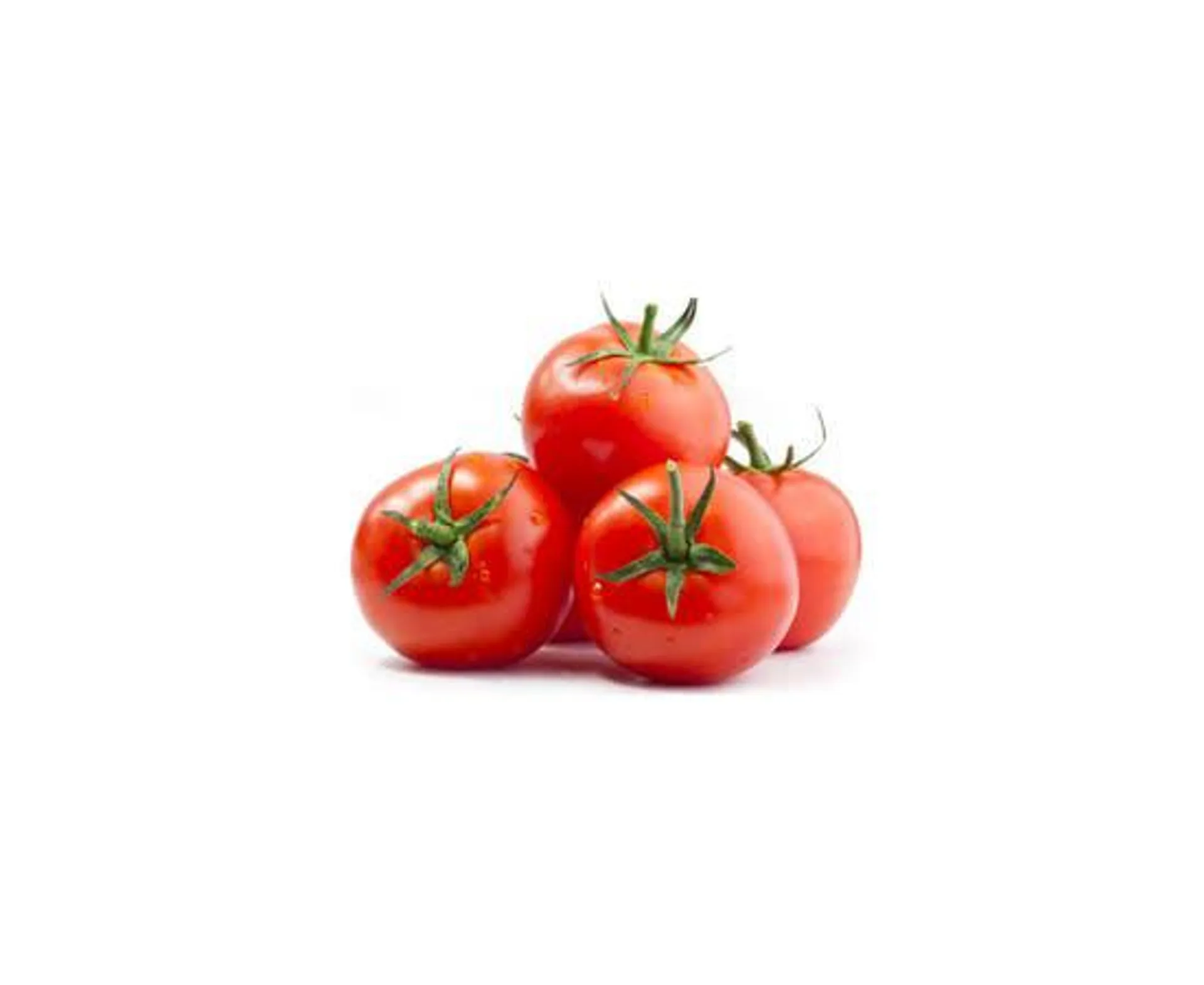 Tomato - Iran