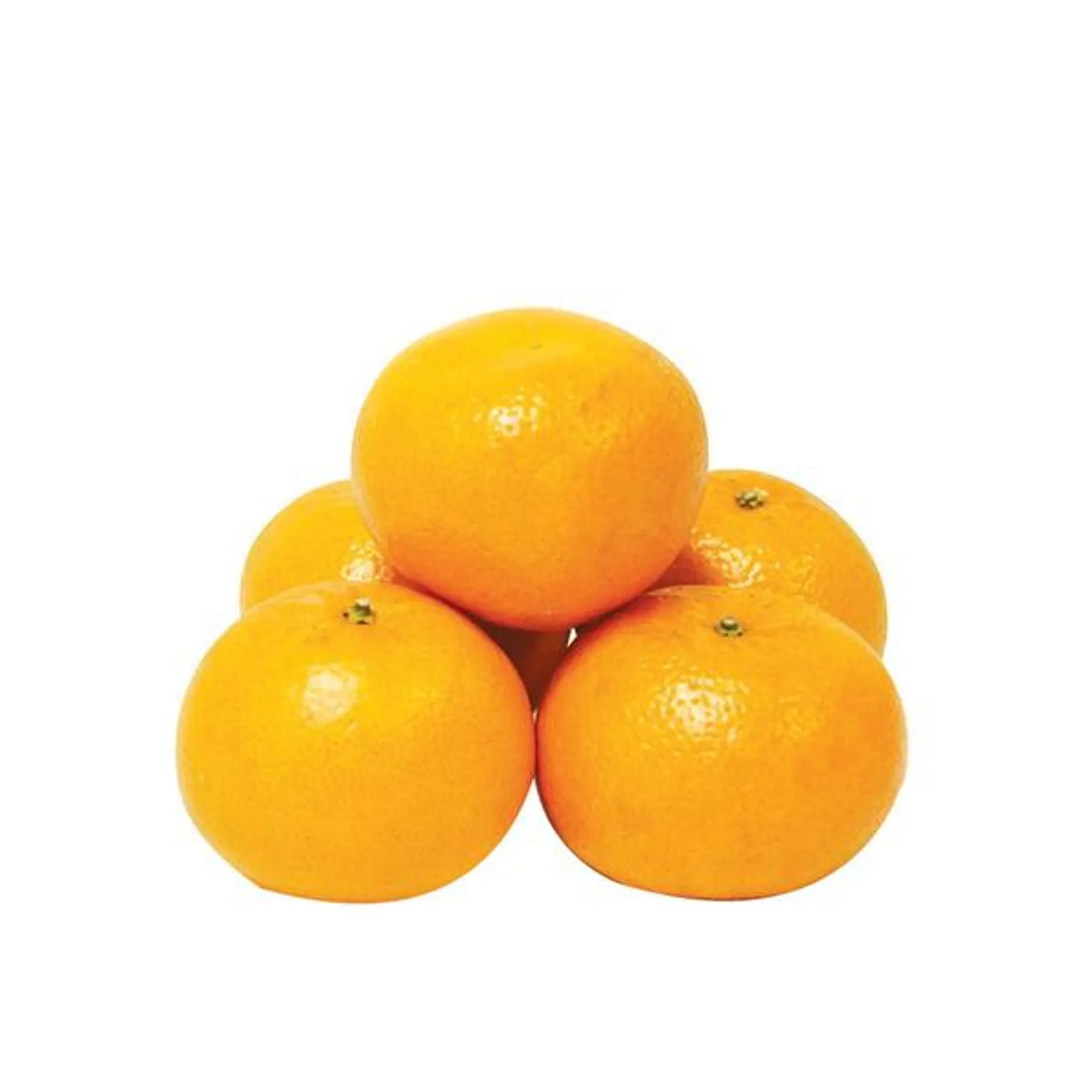 Mandarine egypt