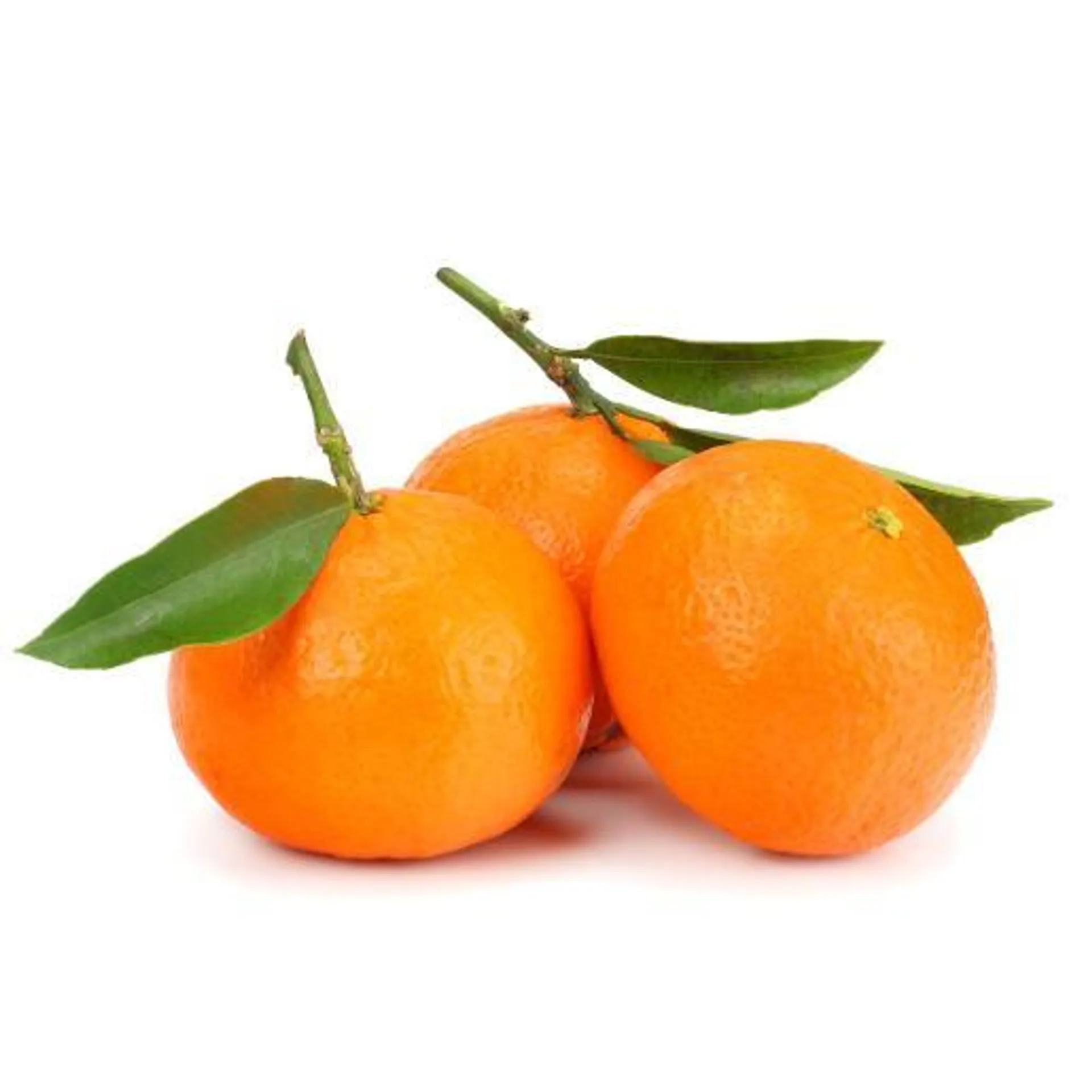Mandarin (Kinnow) Pakistan