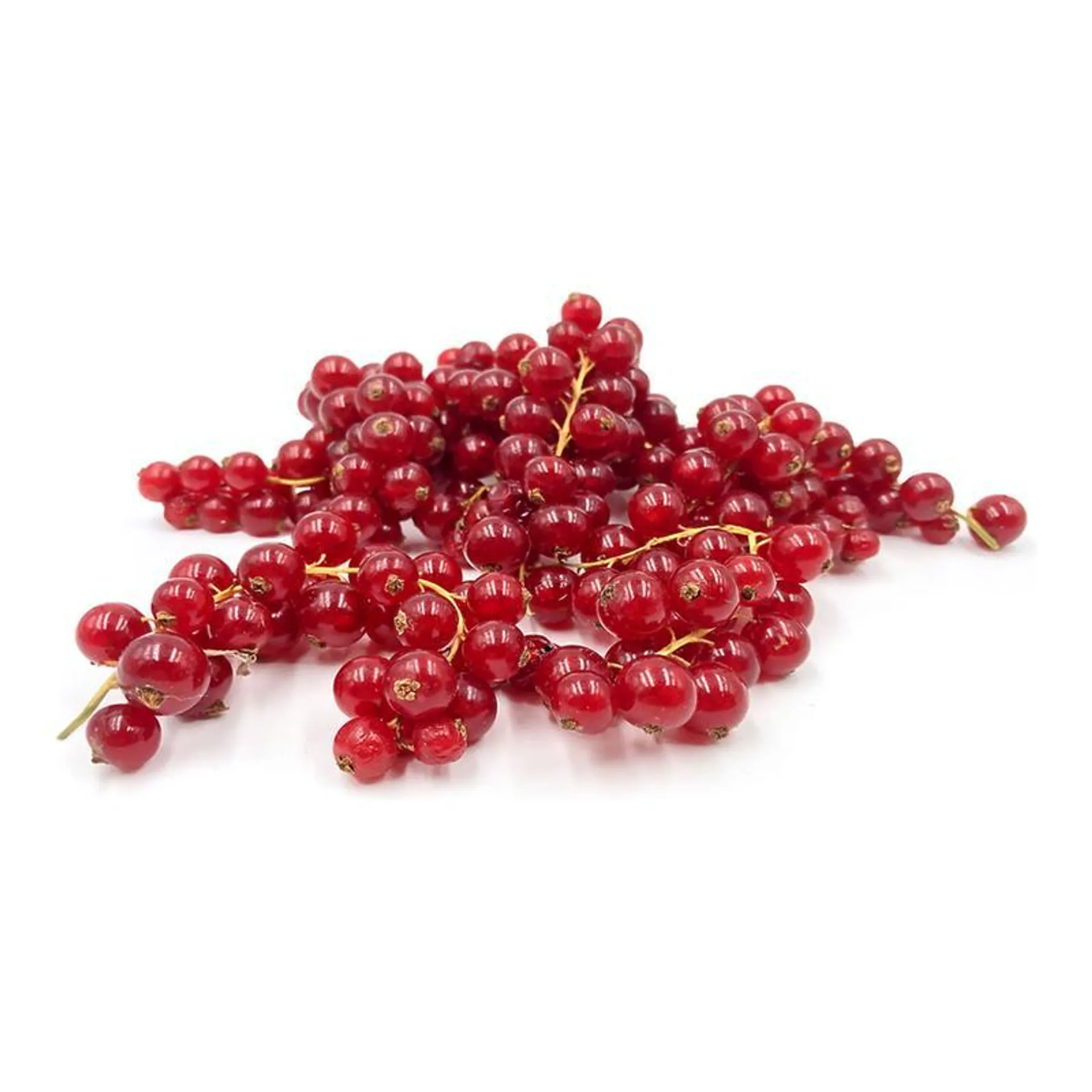 Red Currants