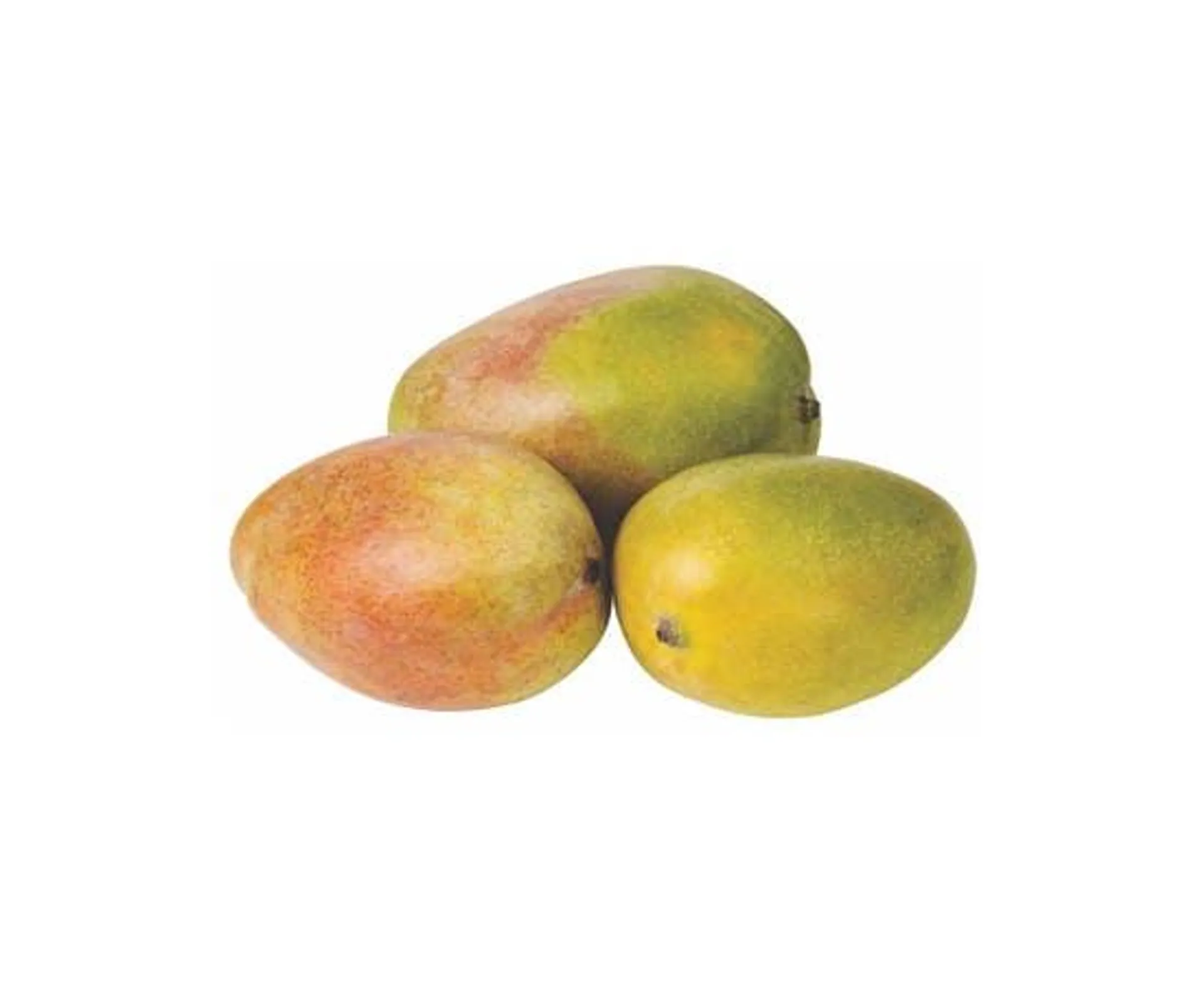 Mango Zibdia - Egypt