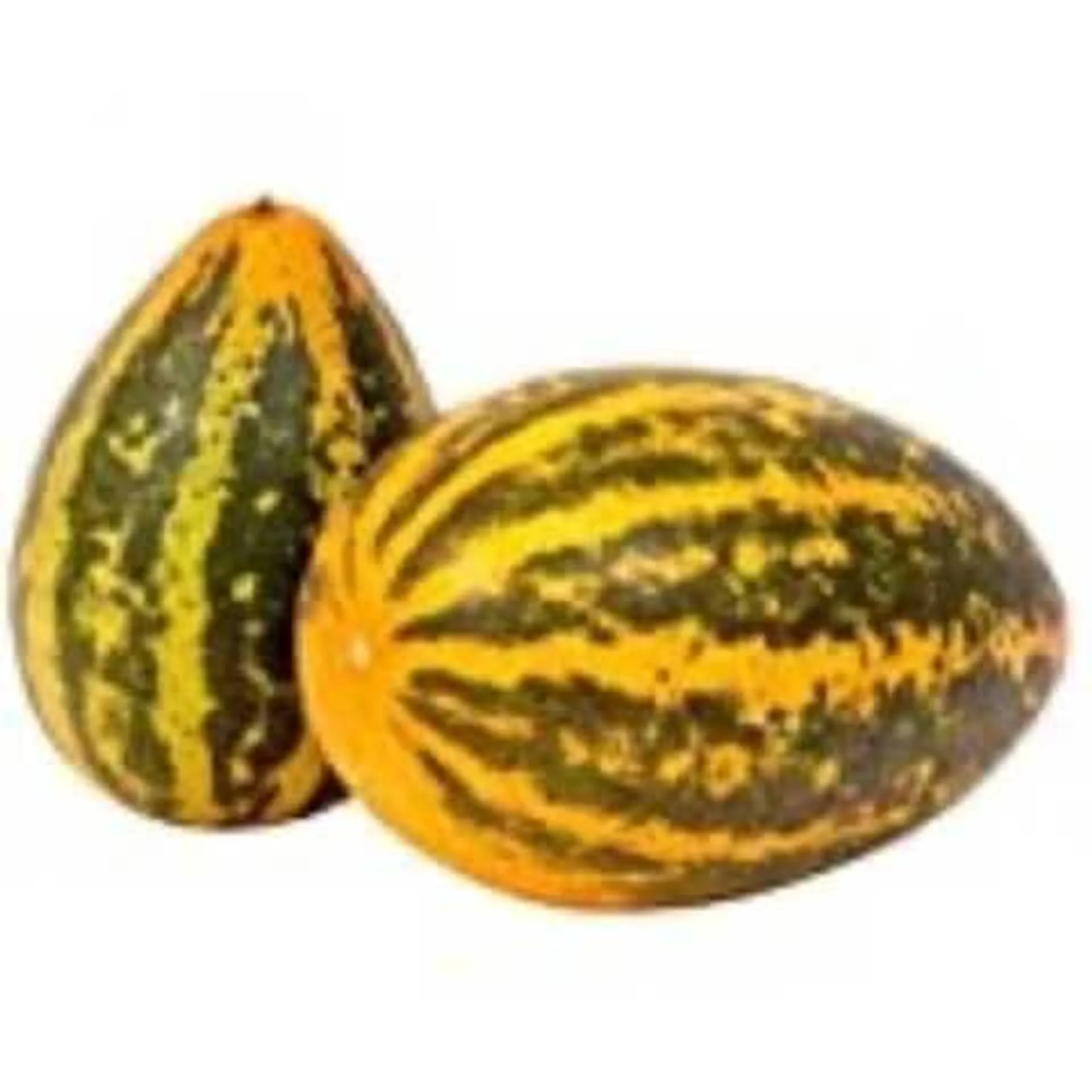 Yellow Cucumber