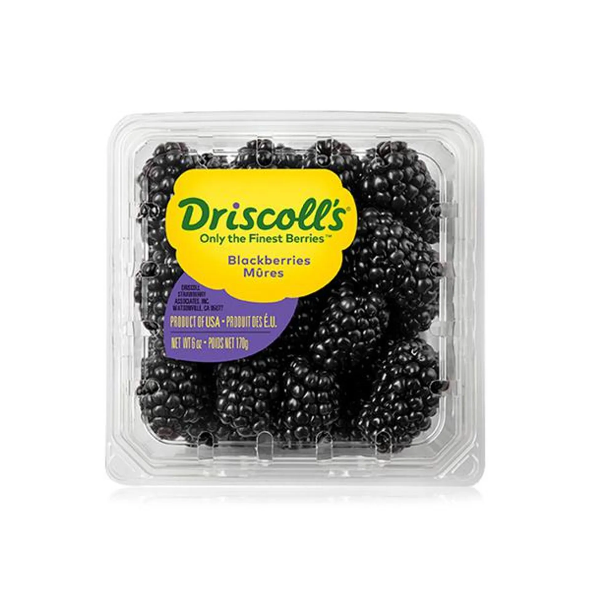 Driscoll's blackberries 170g