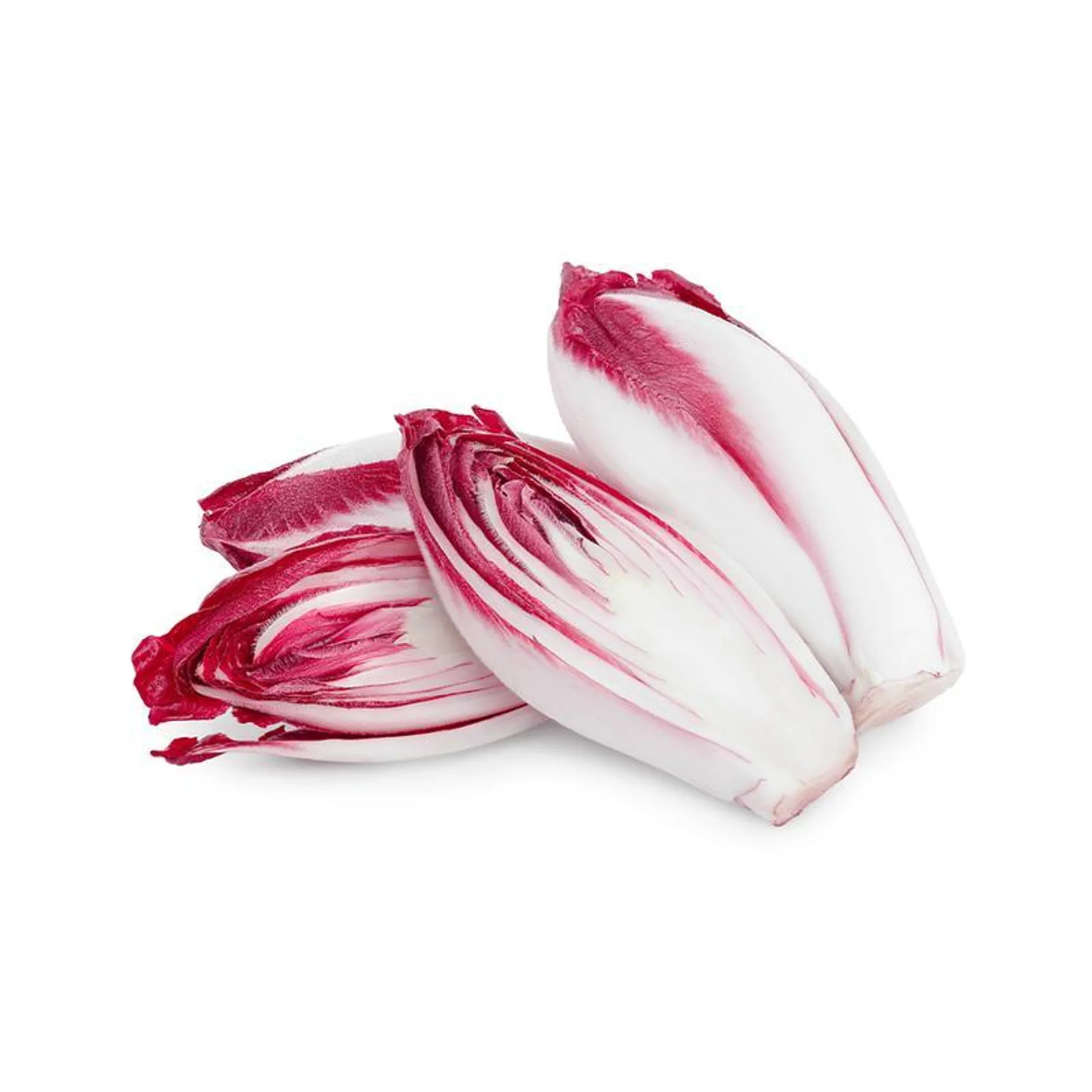 Chicory Red