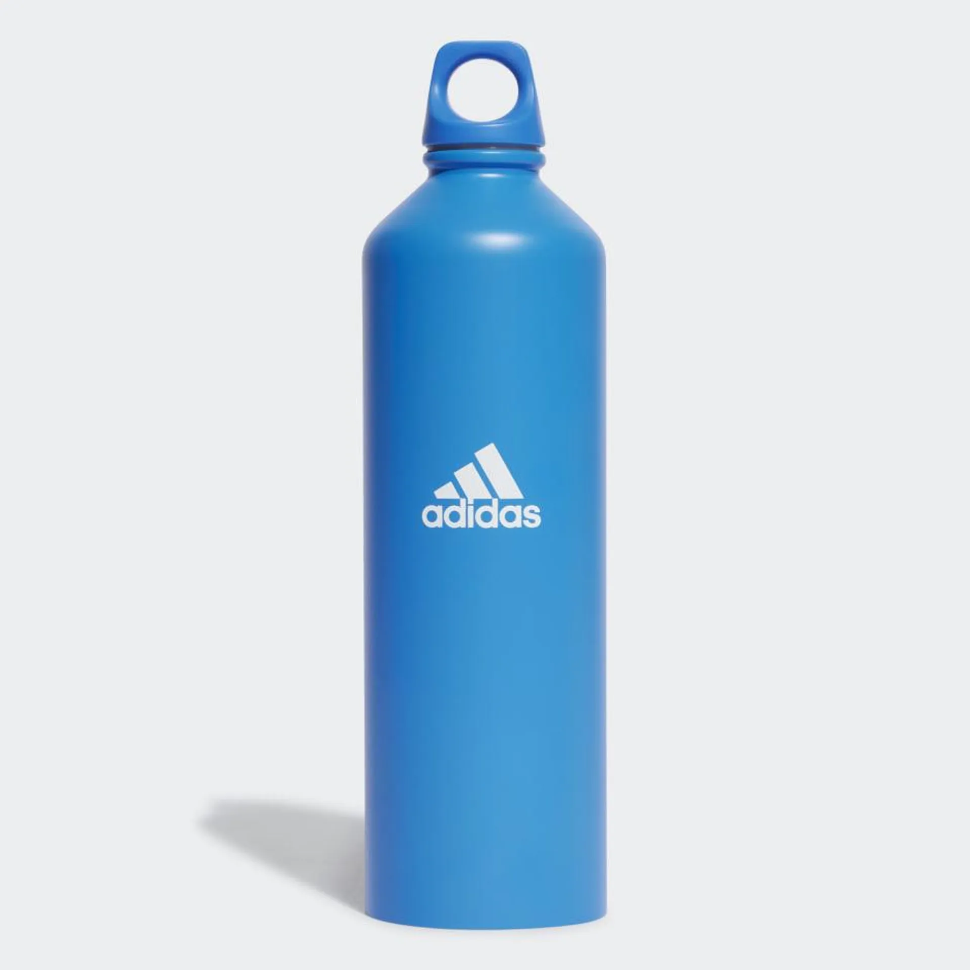 0.75 L Steel Bottle